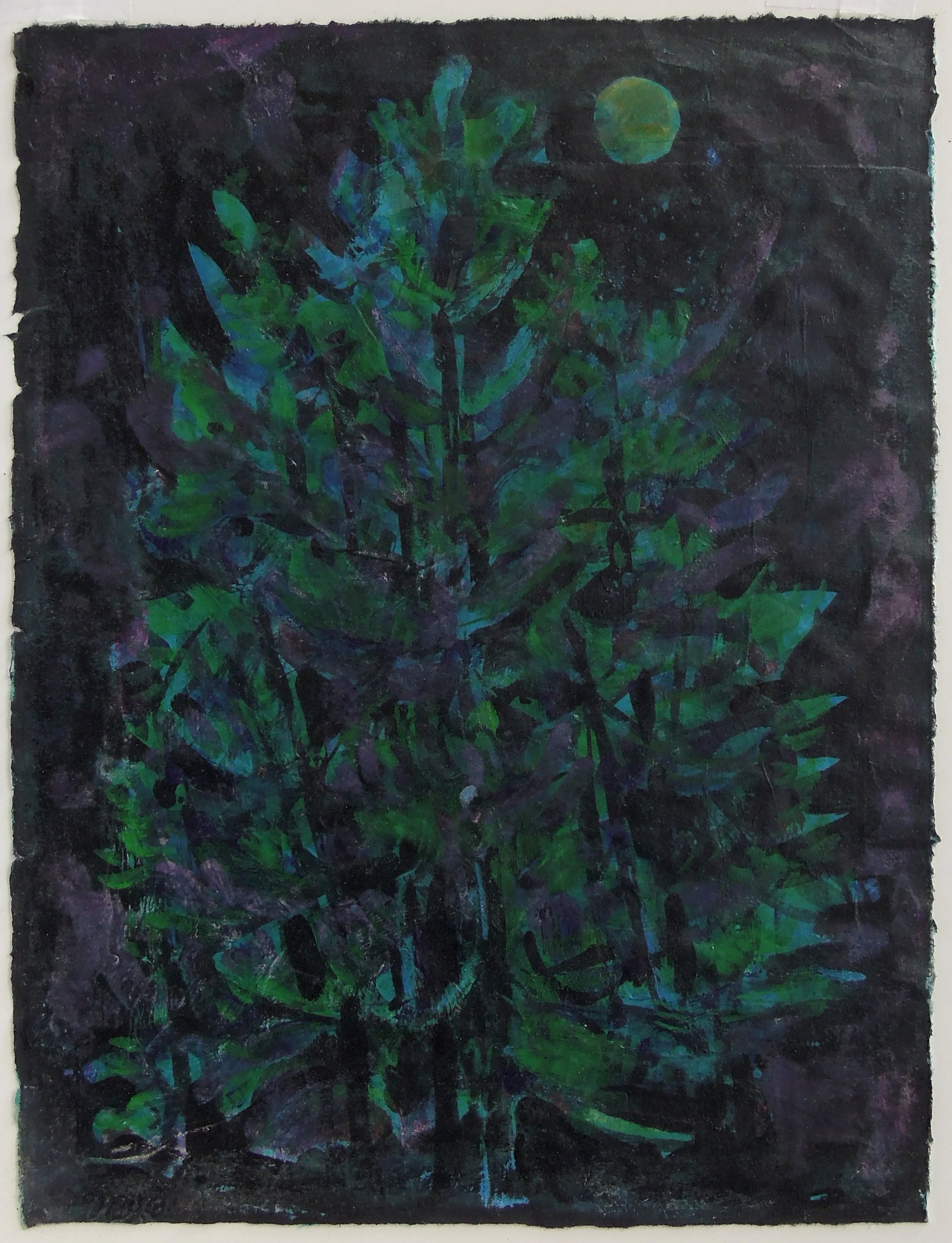 Pine Trees in Moonlight (2012)	