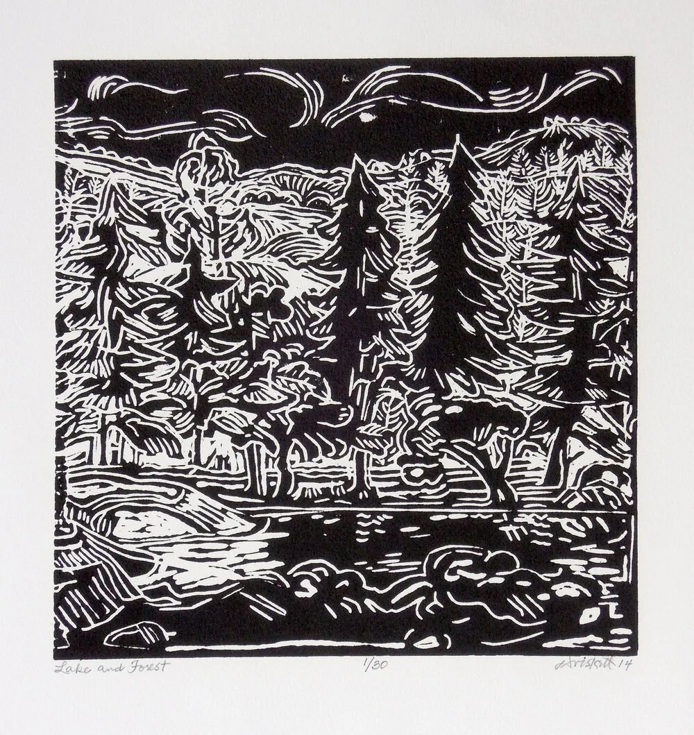 Lake and Forest, 3/30 (2014)	
