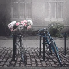 Homescapes | Travelscapes