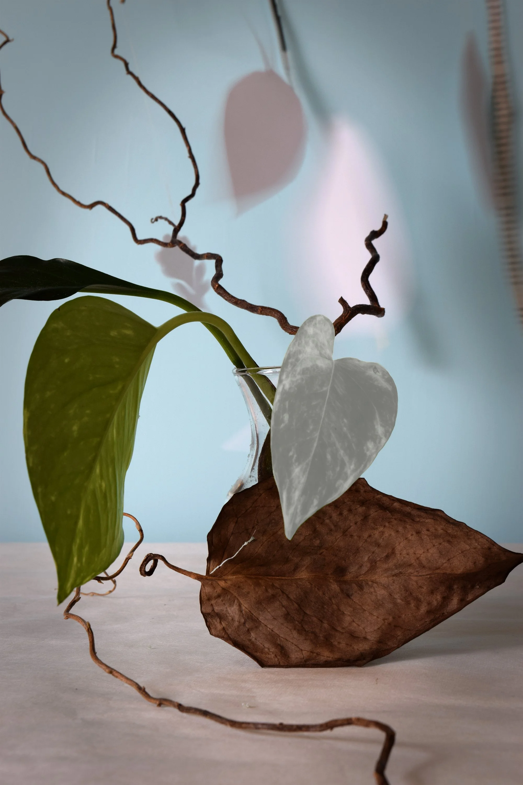 Variations
