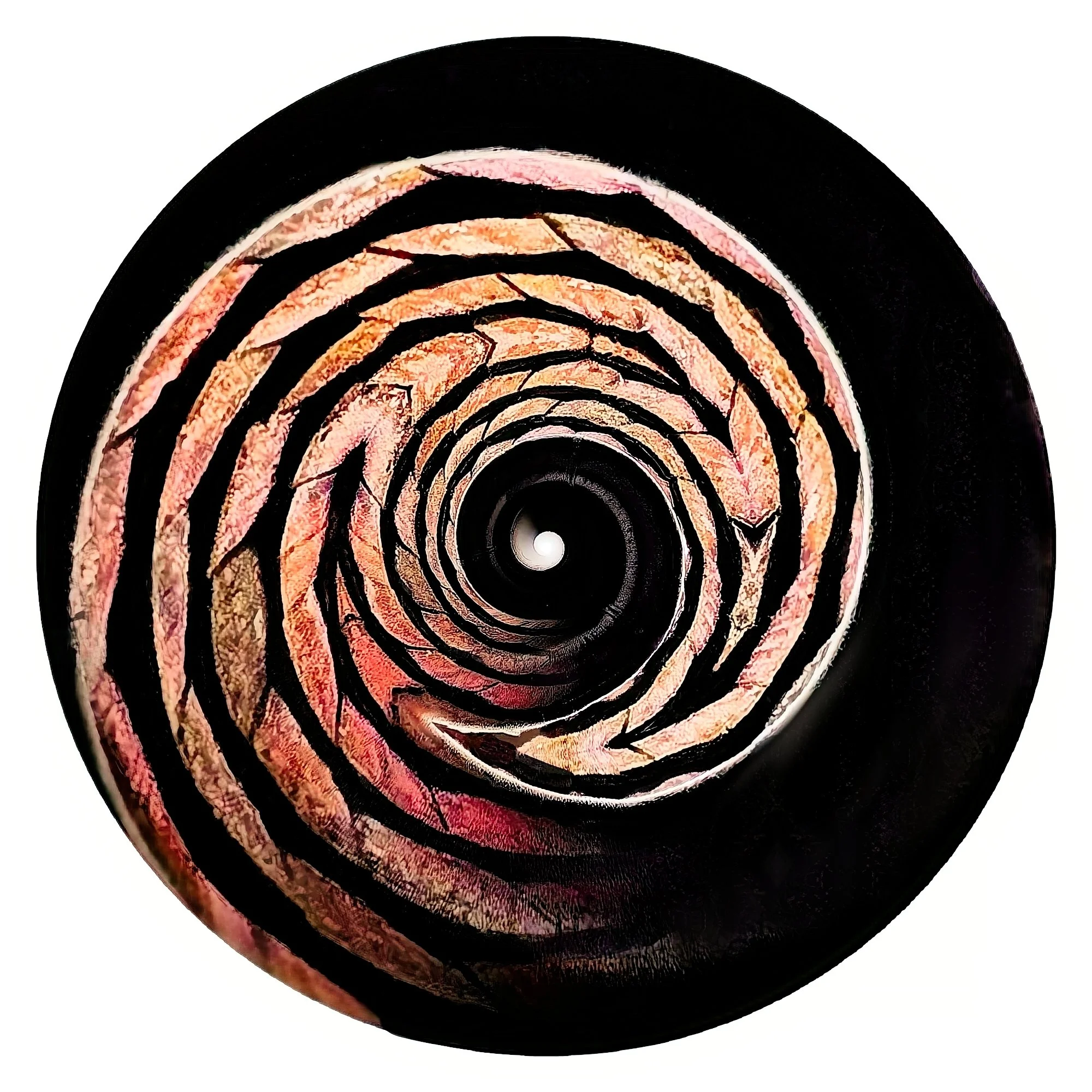 Susan Partridge, Coiled (2025)	
