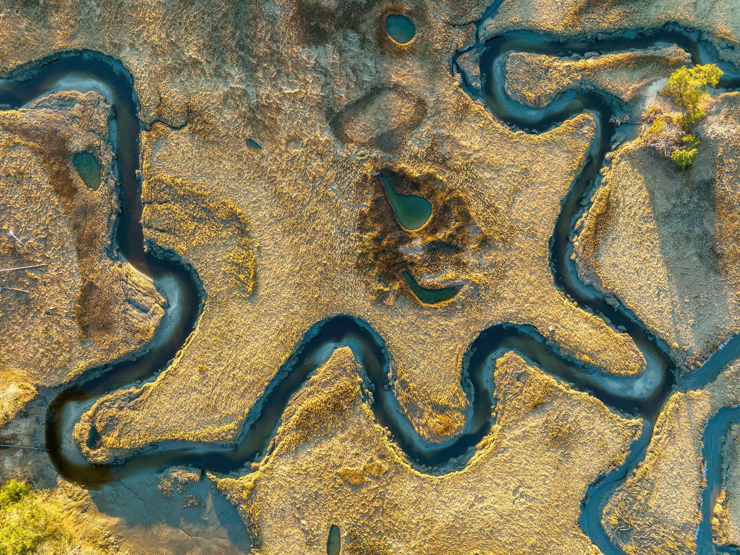 C E Morse	Estuary #422 (2023)	