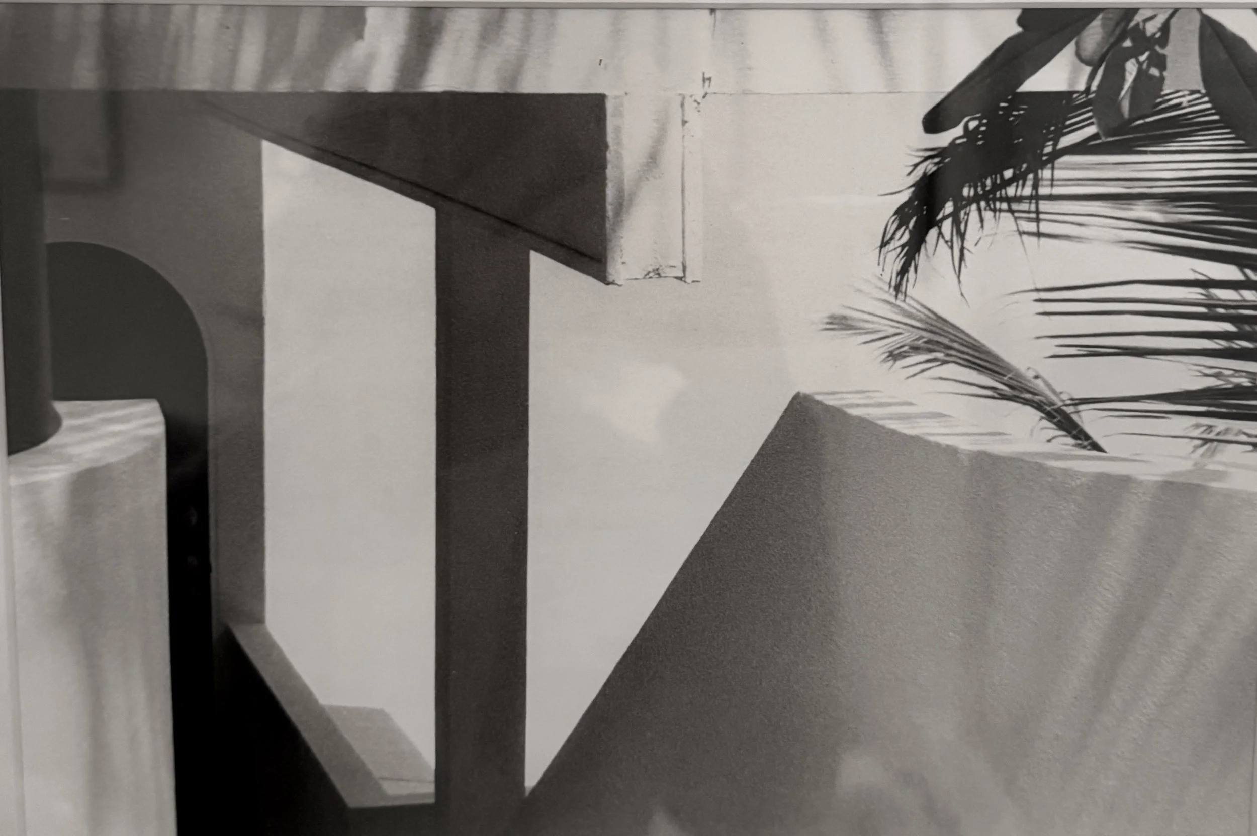 Claudia Dricot, Tortola (2007)	