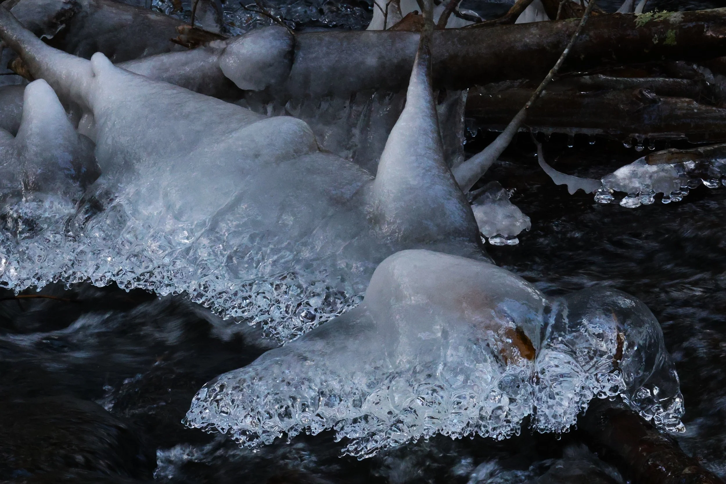 Nancy Meyer, Sculpture in Ice (2025)	