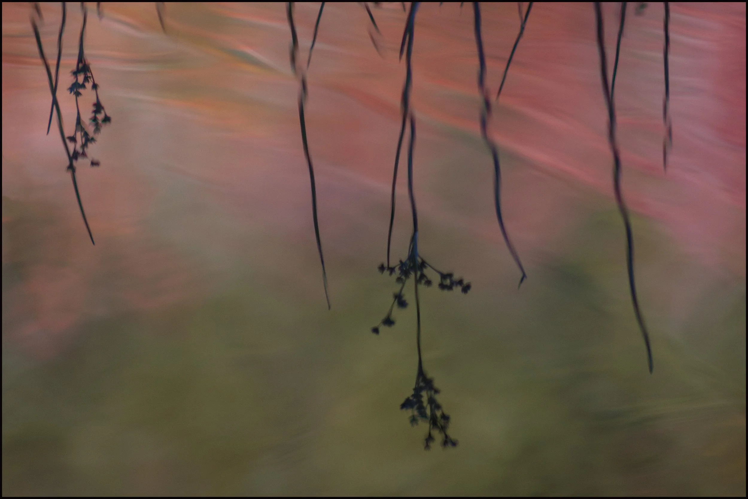 Sandra A. Wescott, Reflections of Autumn (2025)	
