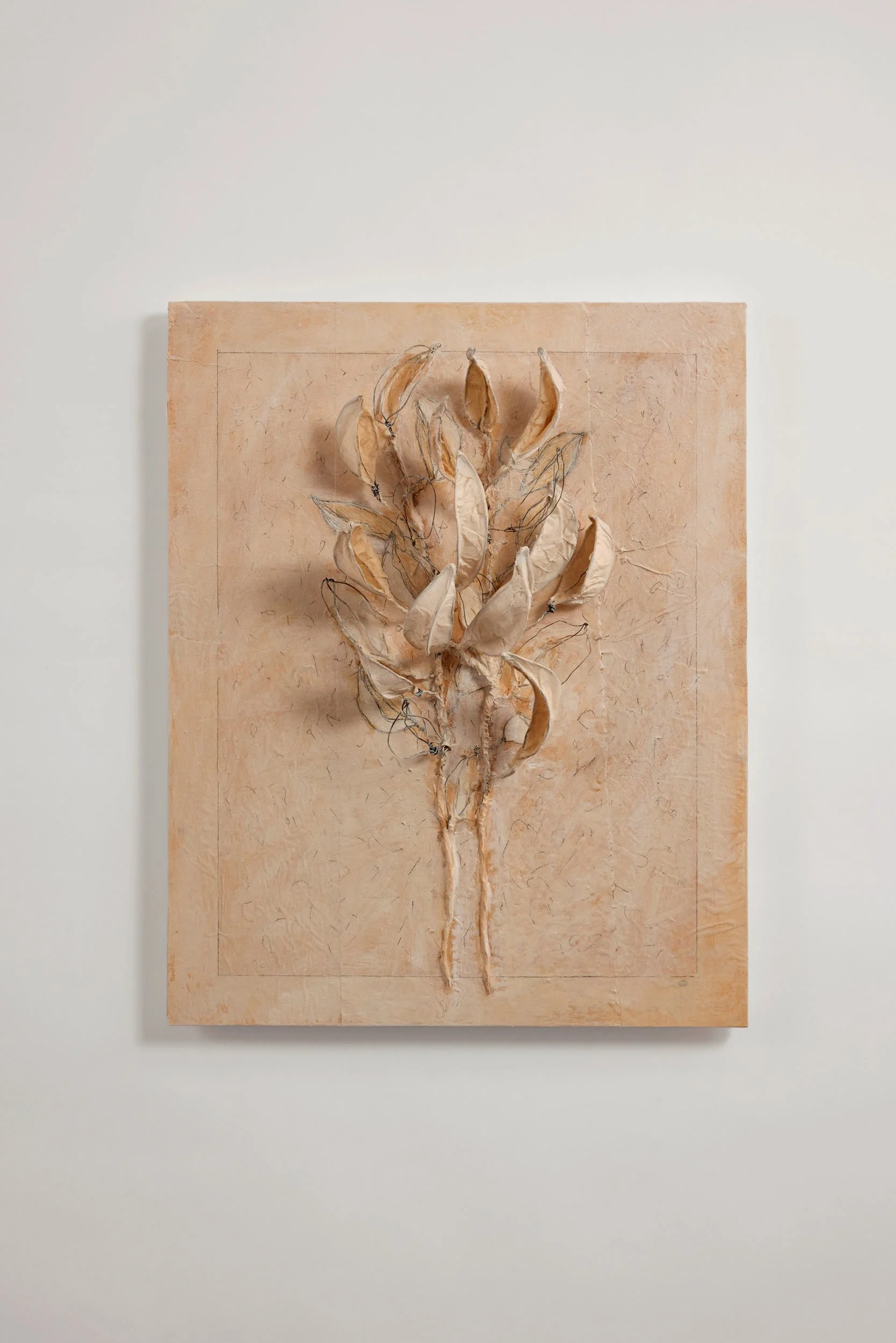 Seeds: Asclepius (2024)	