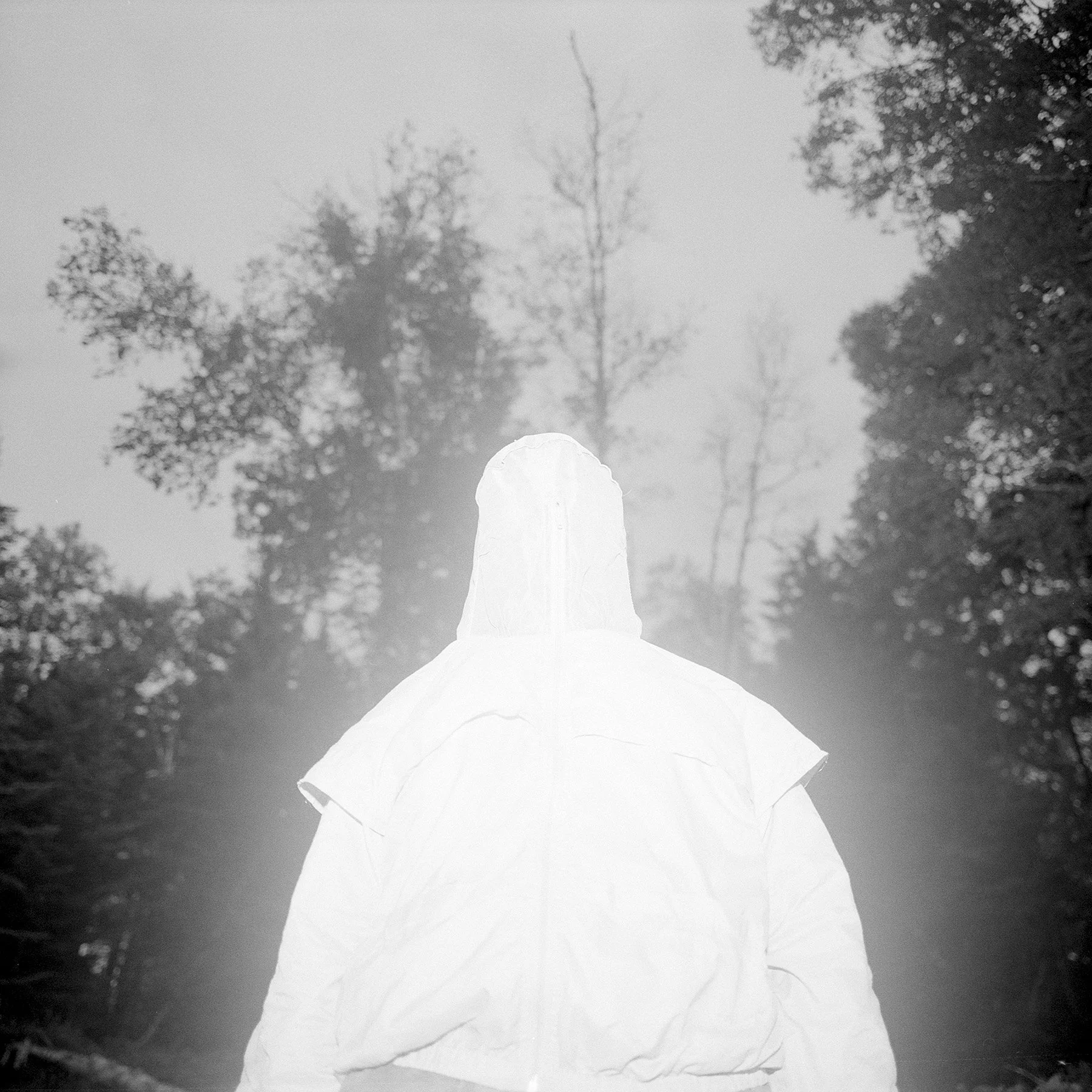 Hector Nevarez Magaña