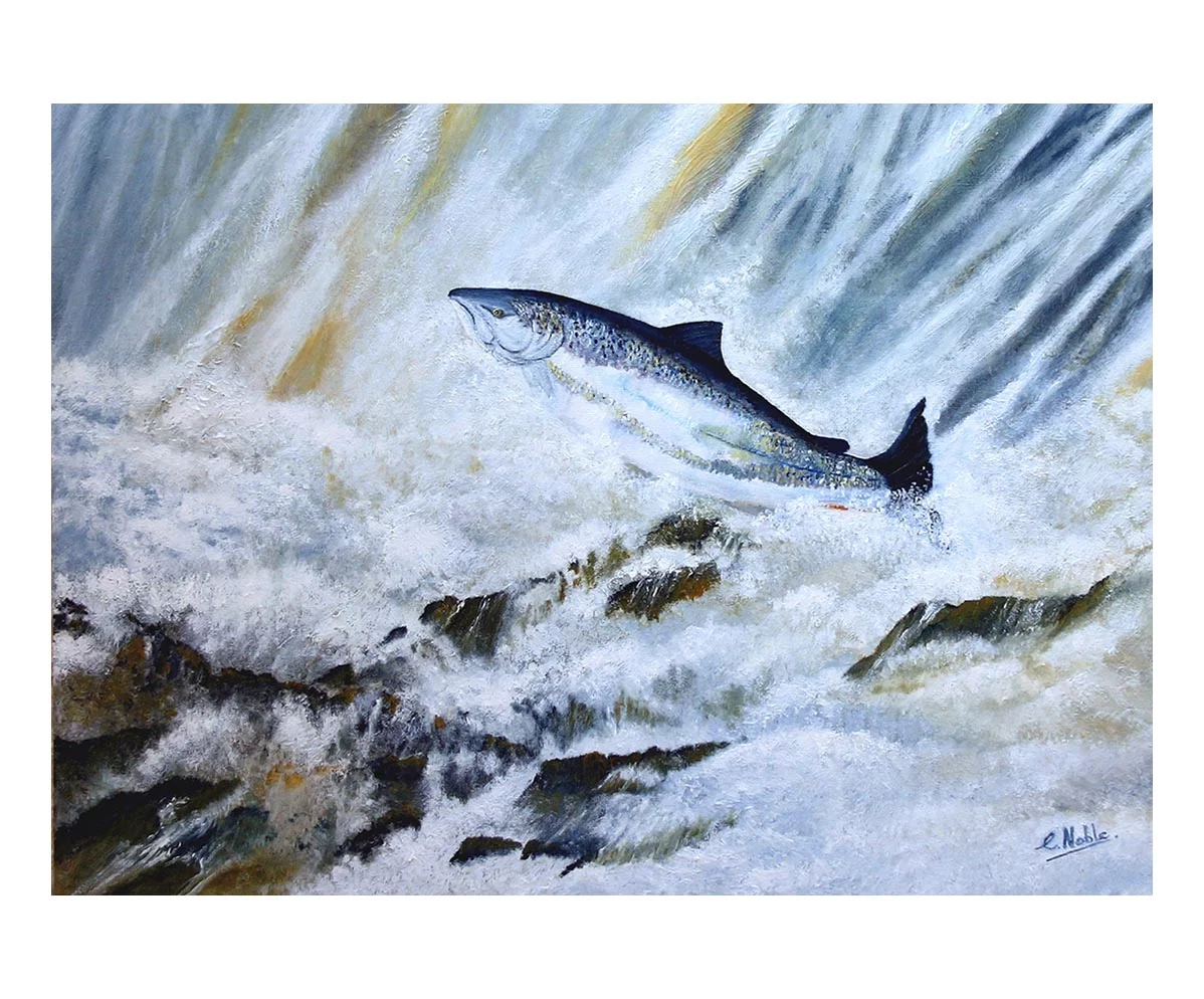 Atlantic Salmon