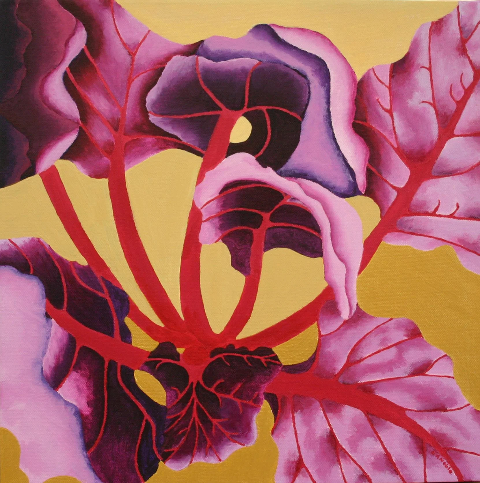 Swiss Chard 2 - Purple and Pink