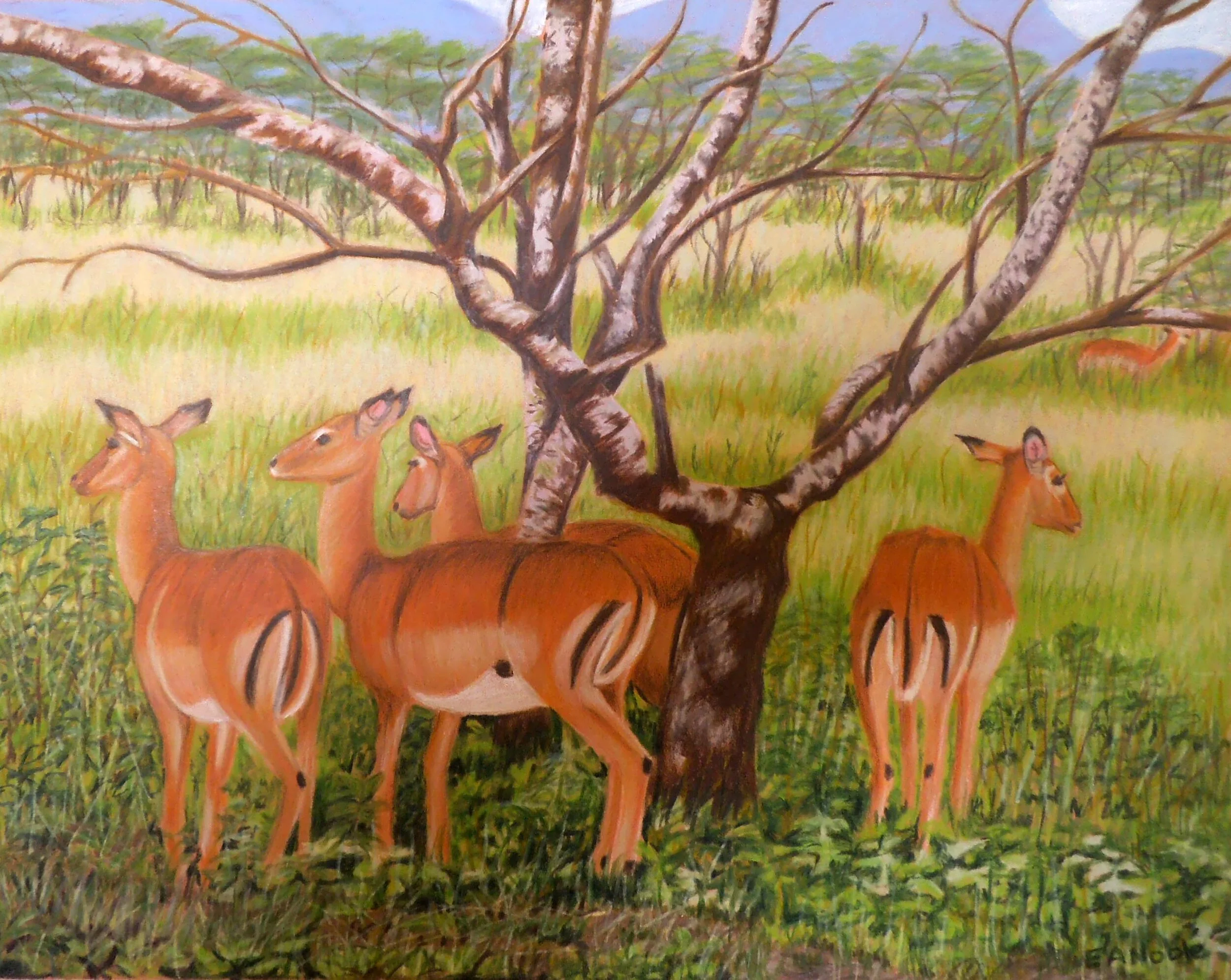 Which Way Did They Go?