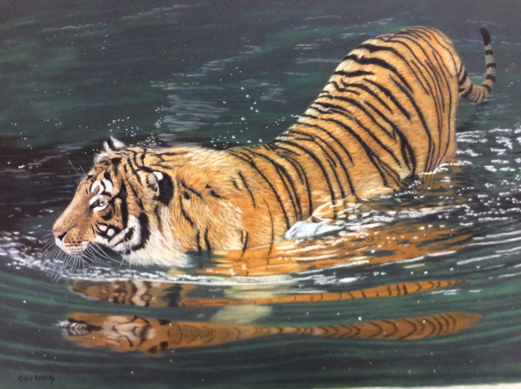 BeesleyChris_Cooling Off.JPG