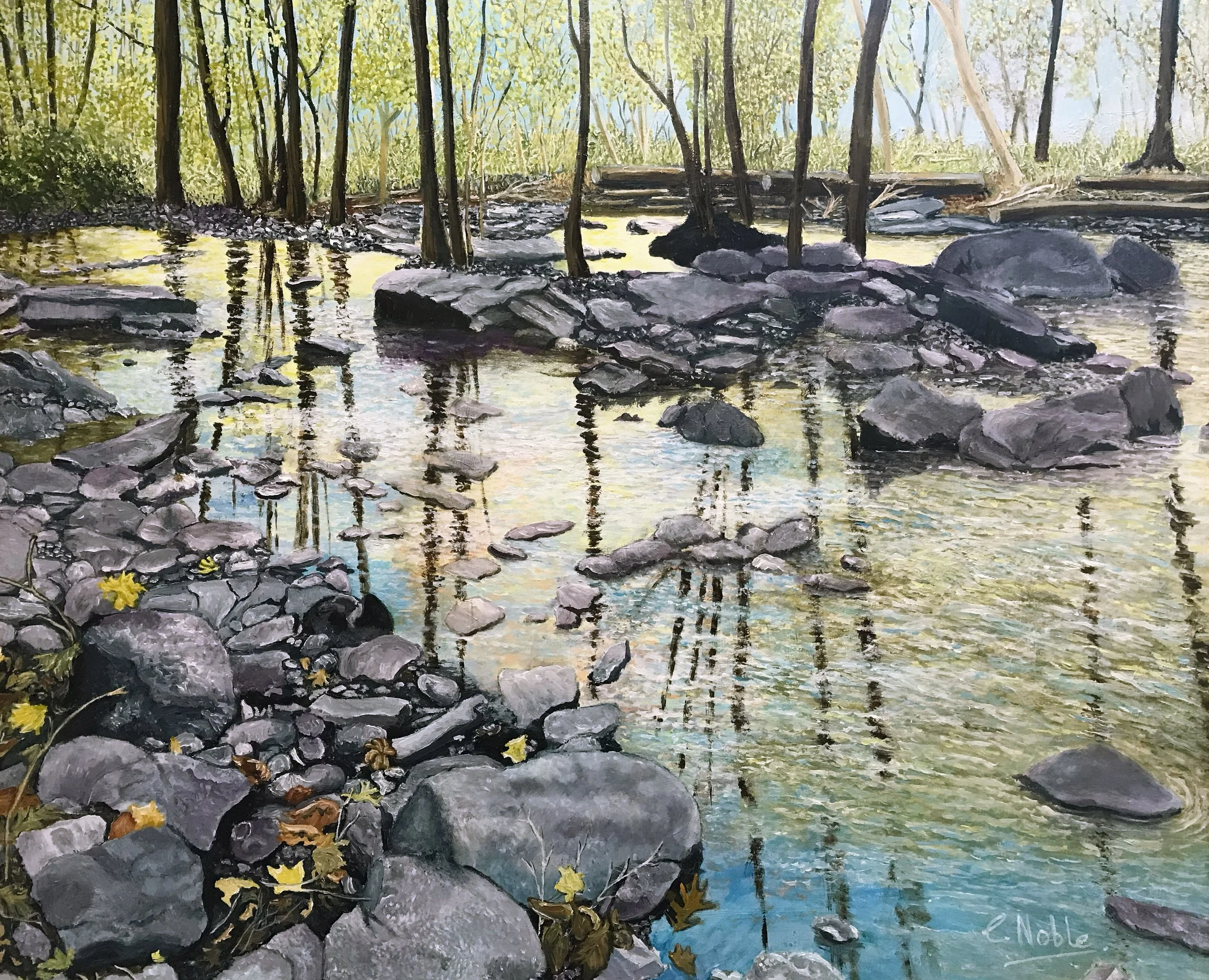 River Reflections