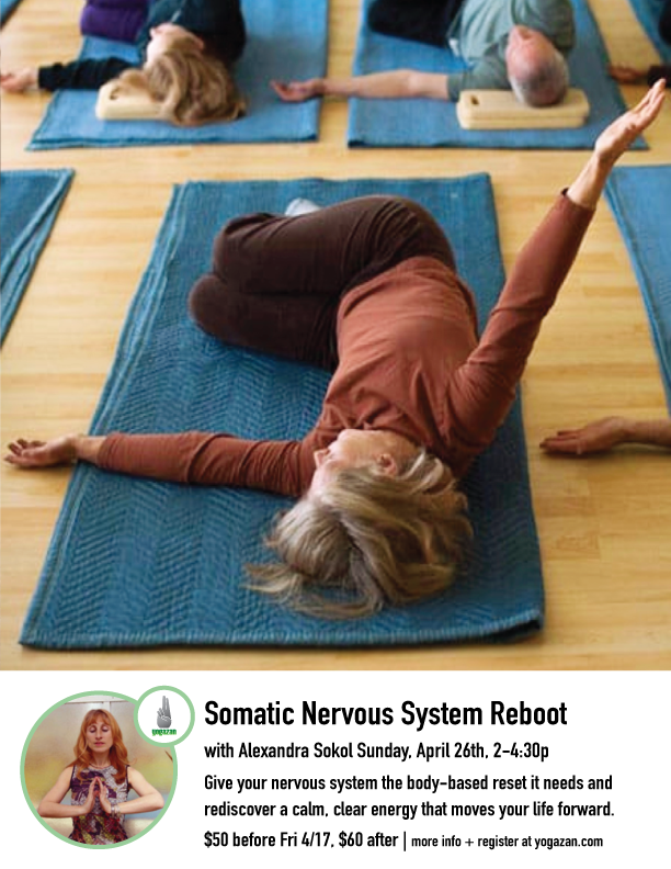 Somatic Nervous System Reboot