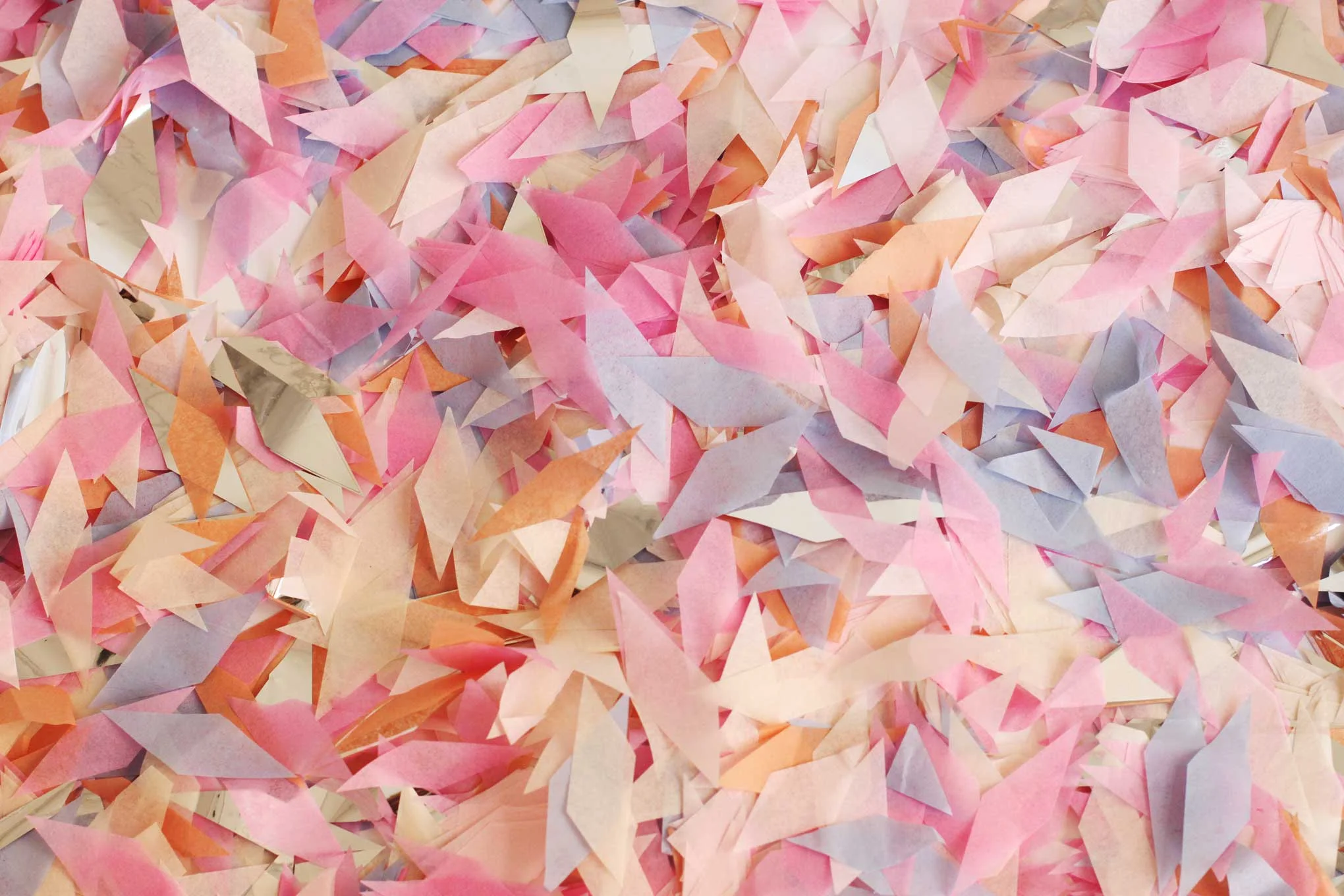 Confetti-Powder-HR_WEB.jpg