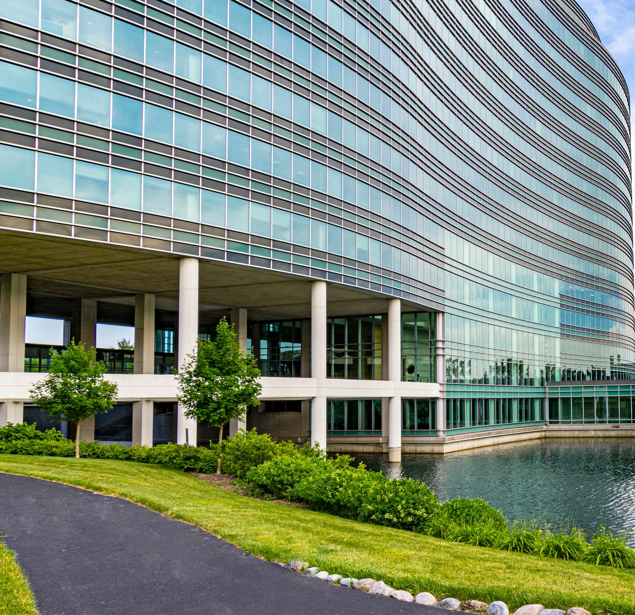 P1_w grass copy.jpeg