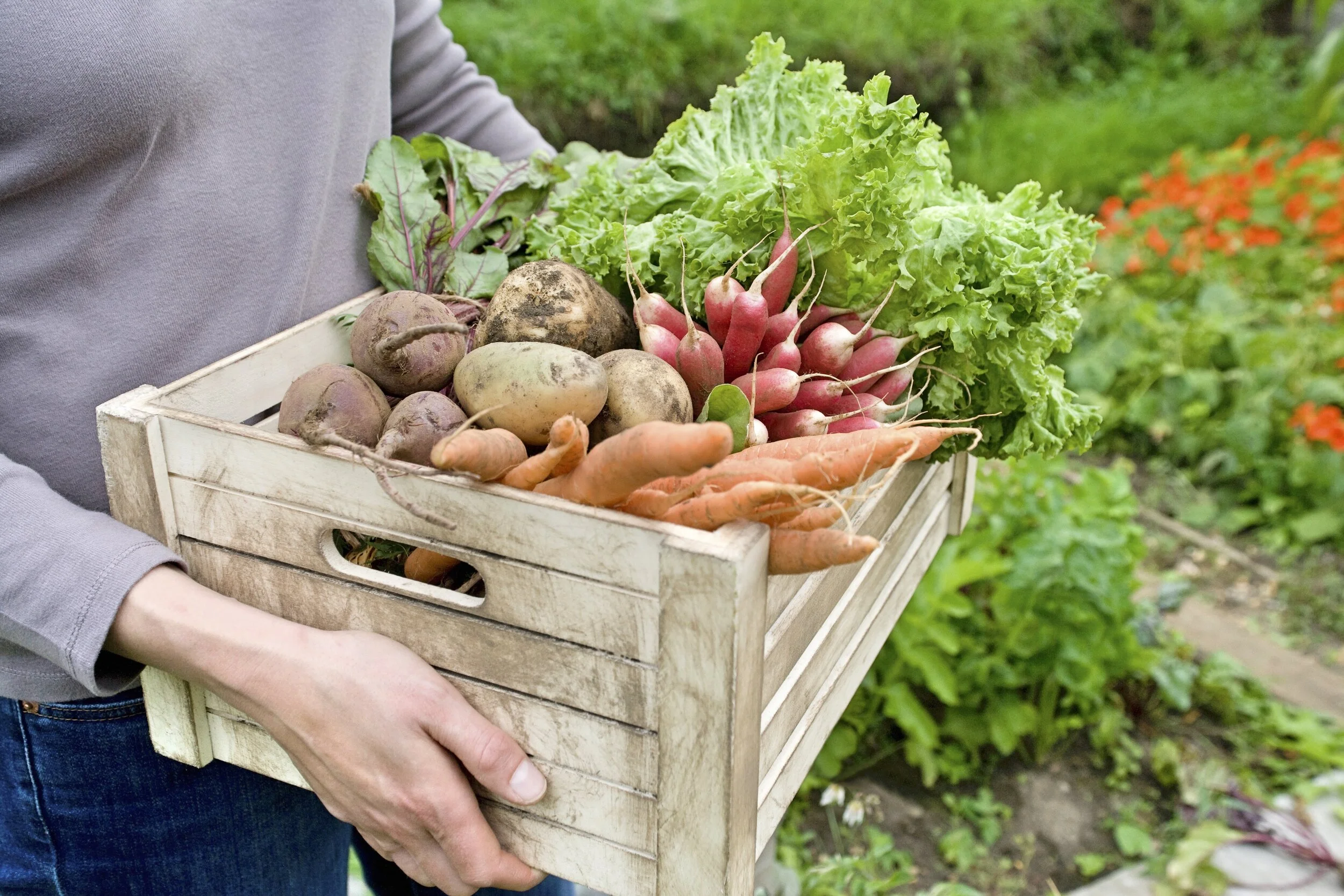 Could this Help You Loose Weight? 