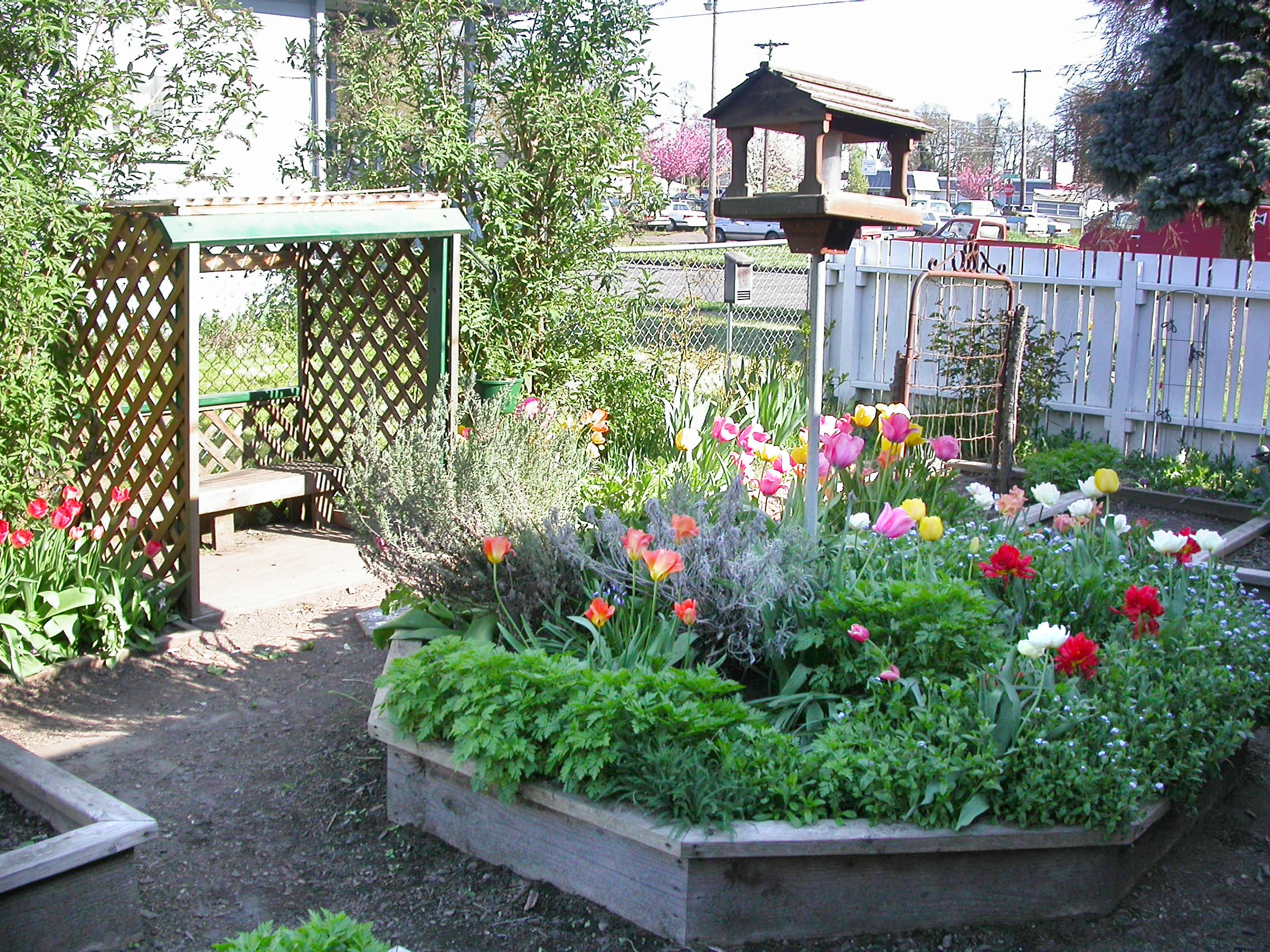 garden_30004254492_o.jpg