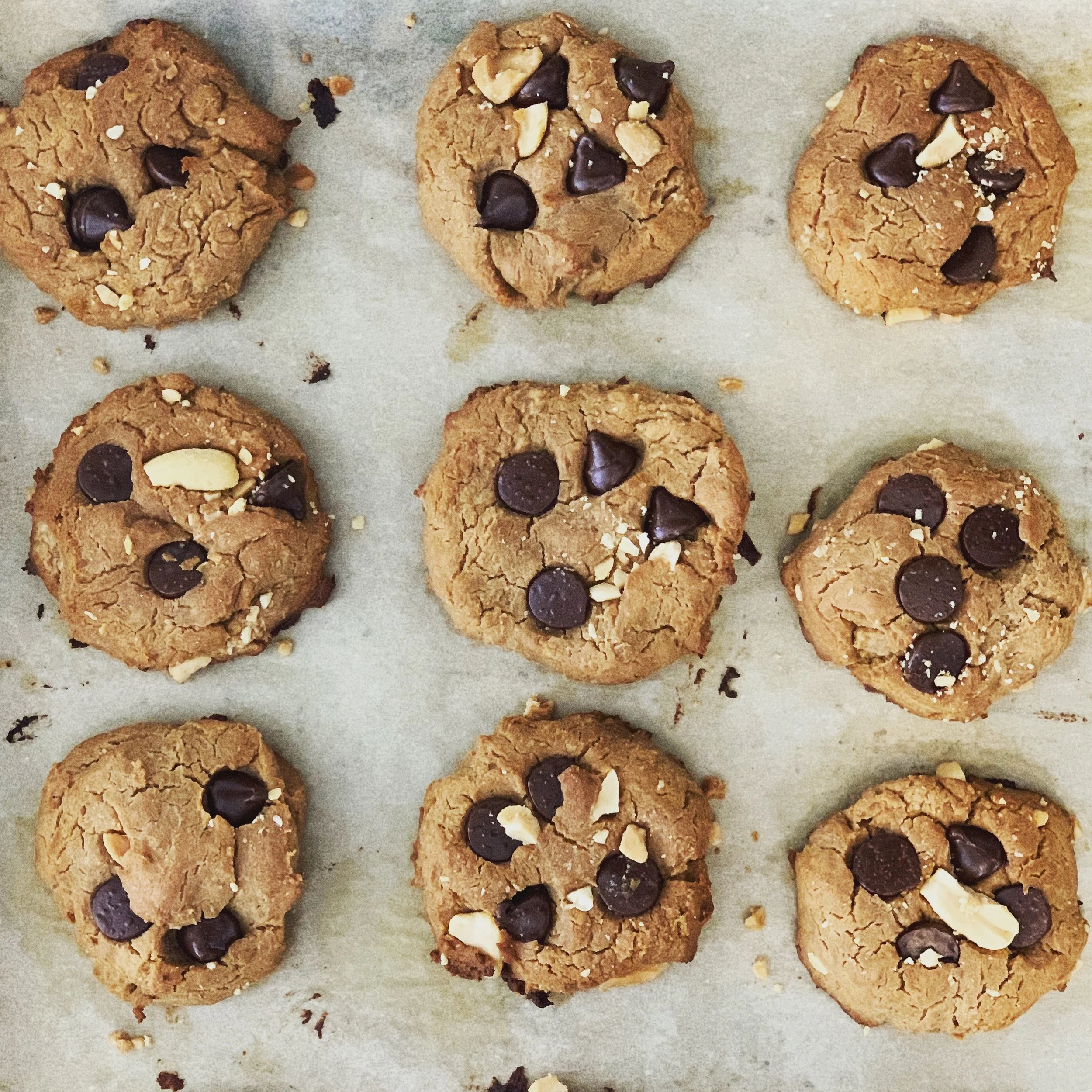 Chickpea, Nut Butter Cookies
