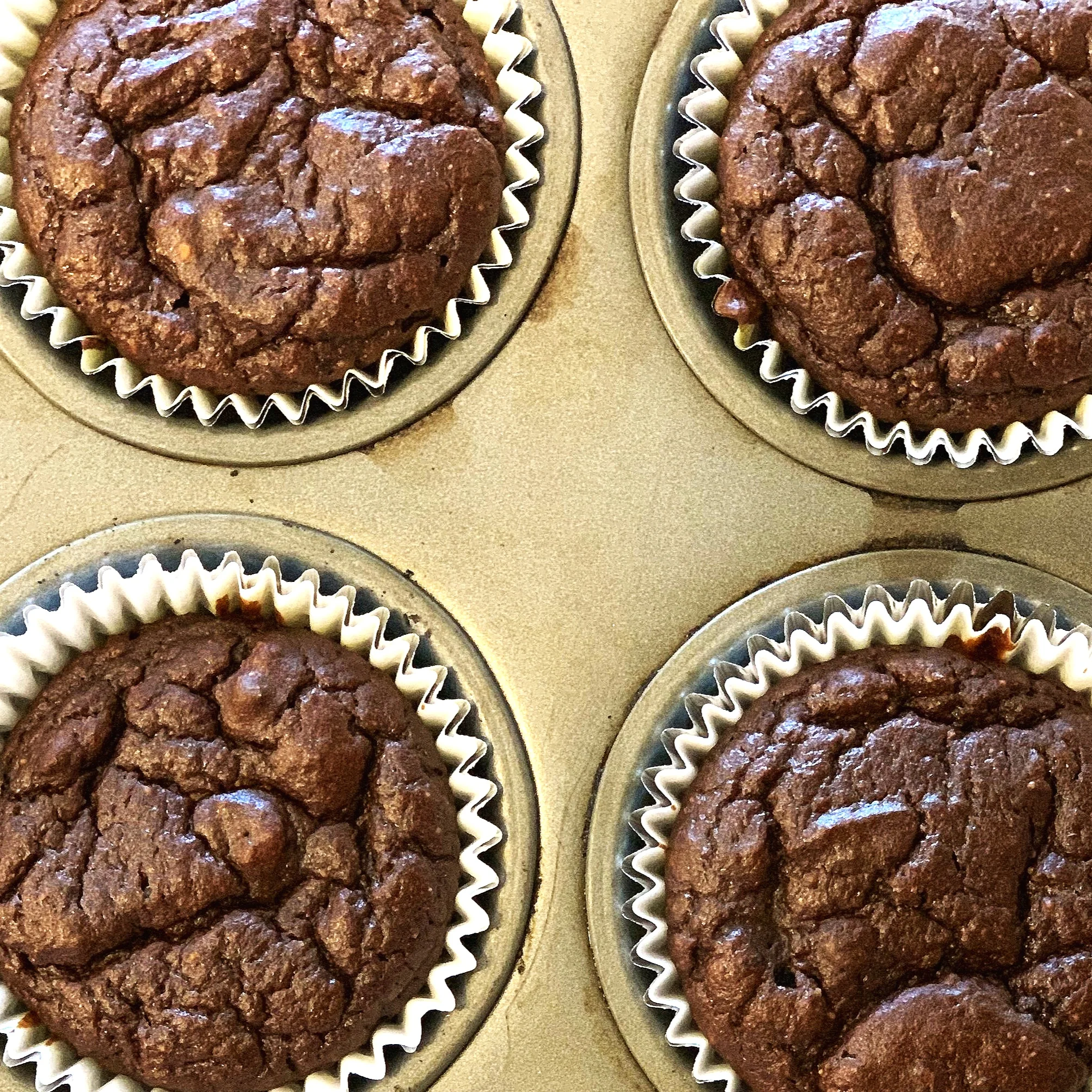 Chocolate, PB, Pumpkin Muffins 