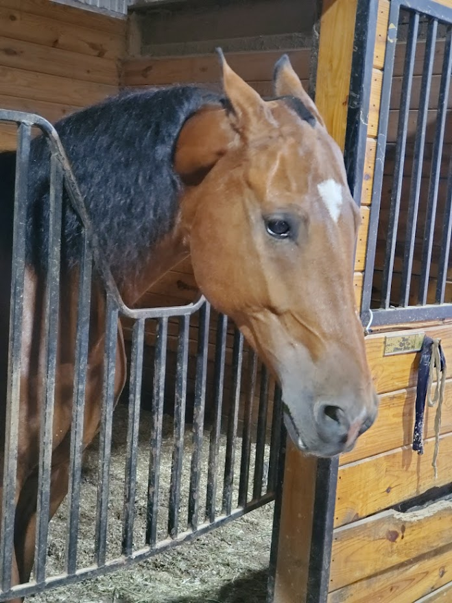 A Kentucky Derby Inspired Visit to Millstone Riding Club — EXTRA IS MY ...