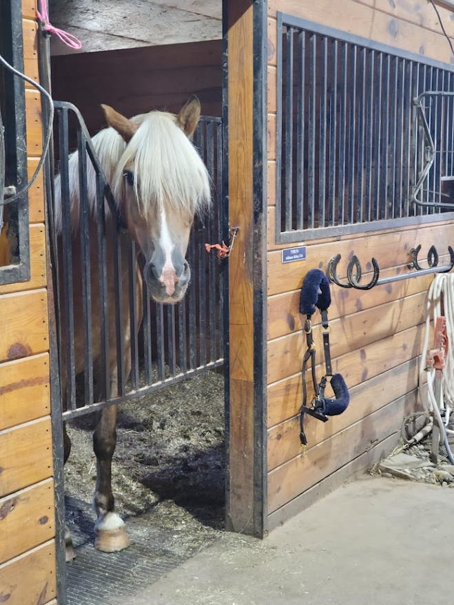 A Kentucky Derby Inspired Visit to Millstone Riding Club — EXTRA IS MY ...