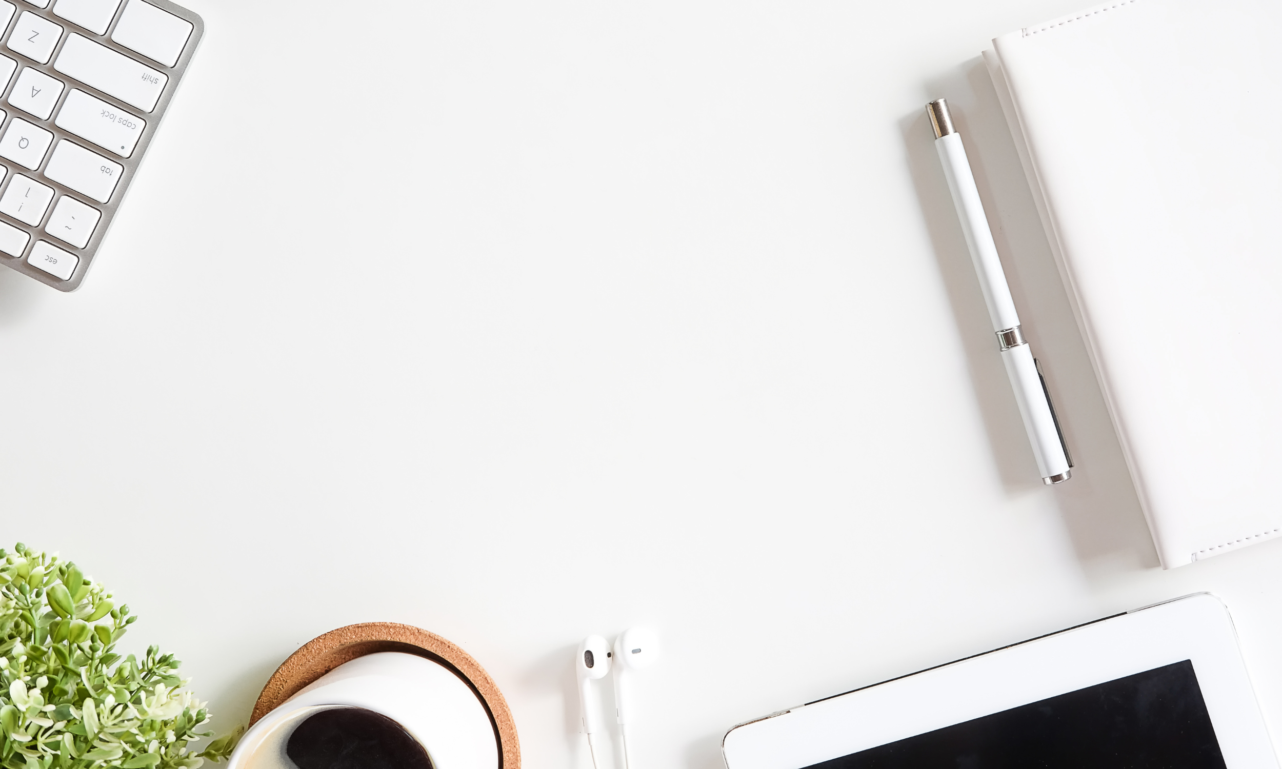 Why are Financial Statements Important?