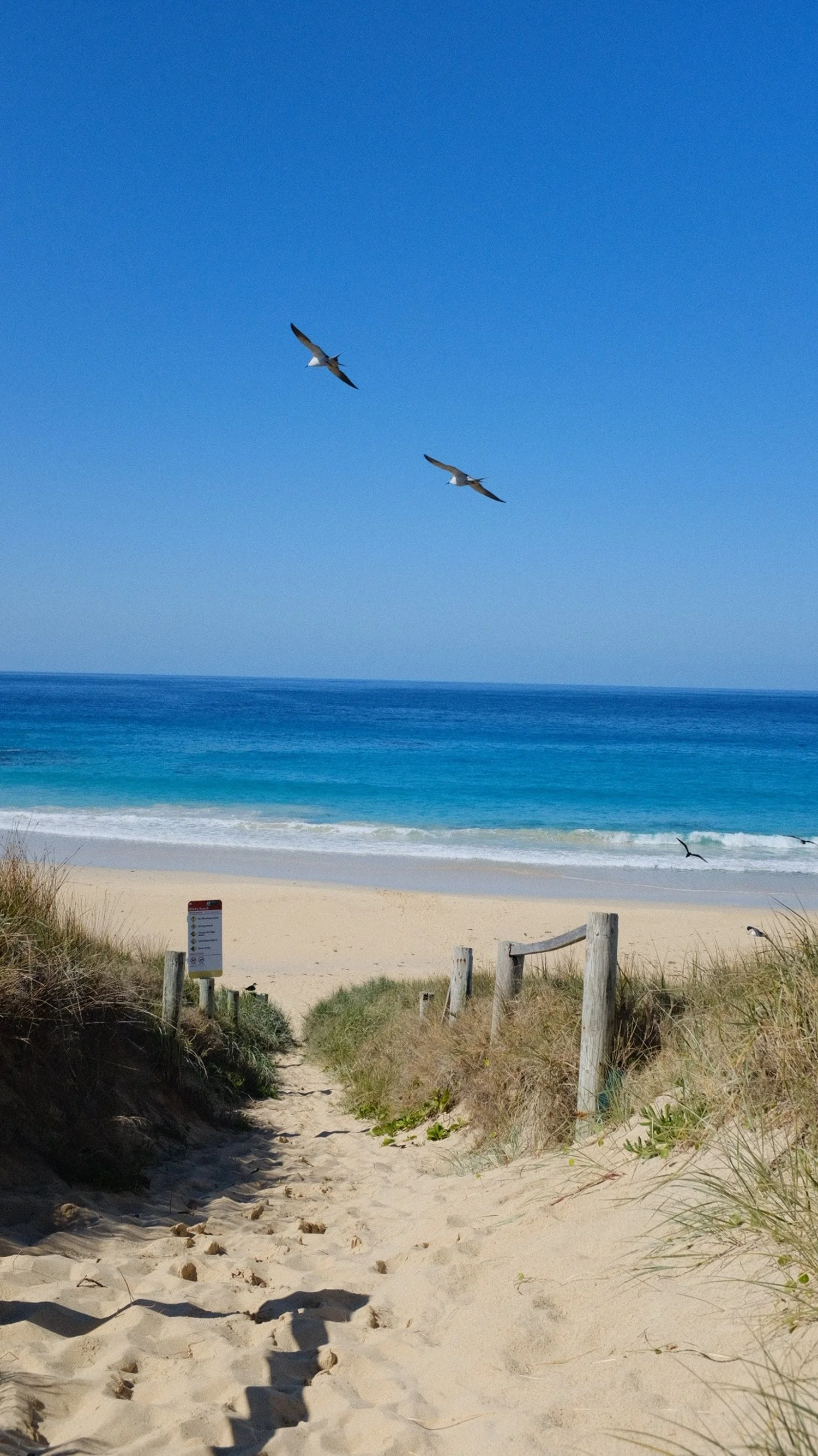 Lorde Howe Island, September 2023