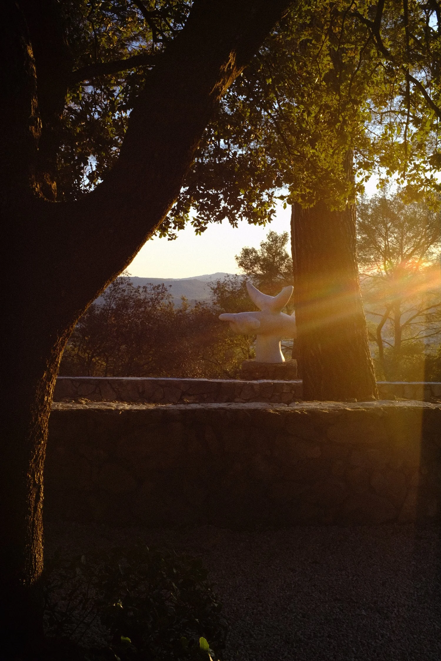 Fondation Maeght, December 2023