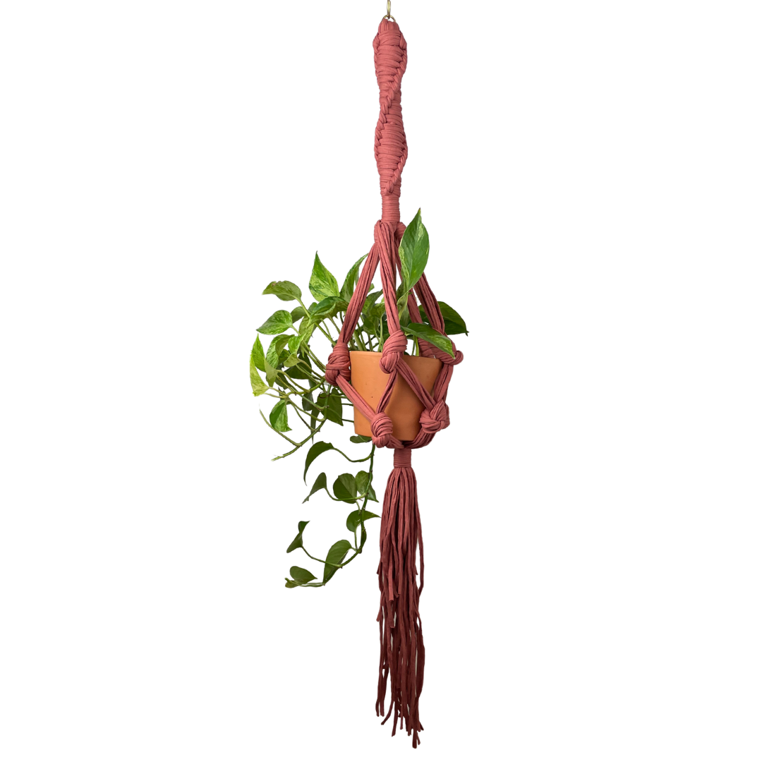 PLANT HANGERS — Sarora Knots