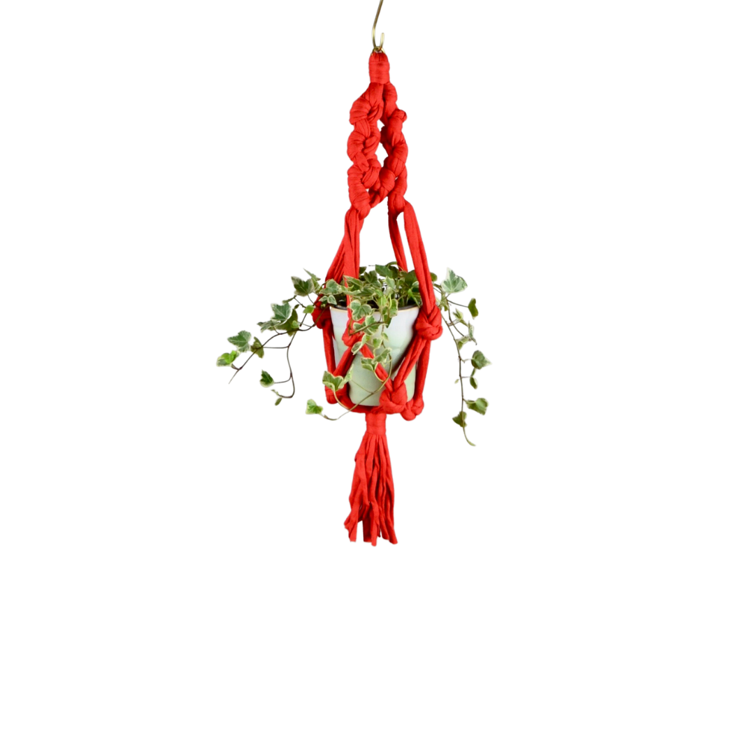 PLANT HANGERS — Sarora Knots