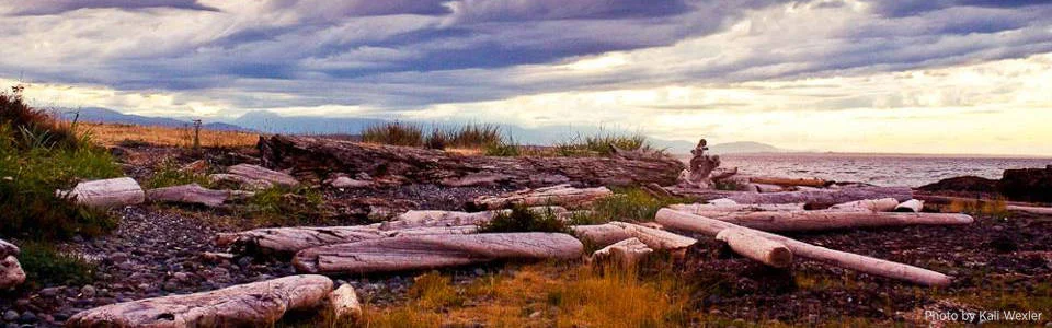 Grassy-Point-Panorama.jpg