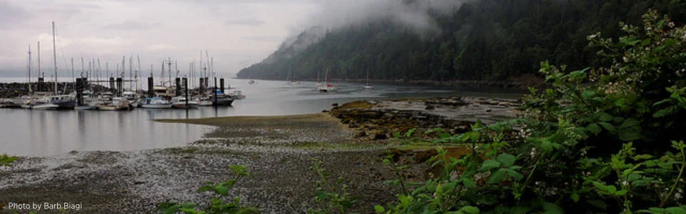 Ford-Cove-Panorama.jpg