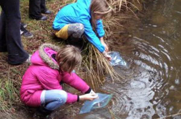 students-releasing-salmon_beulahCreek2.jpg