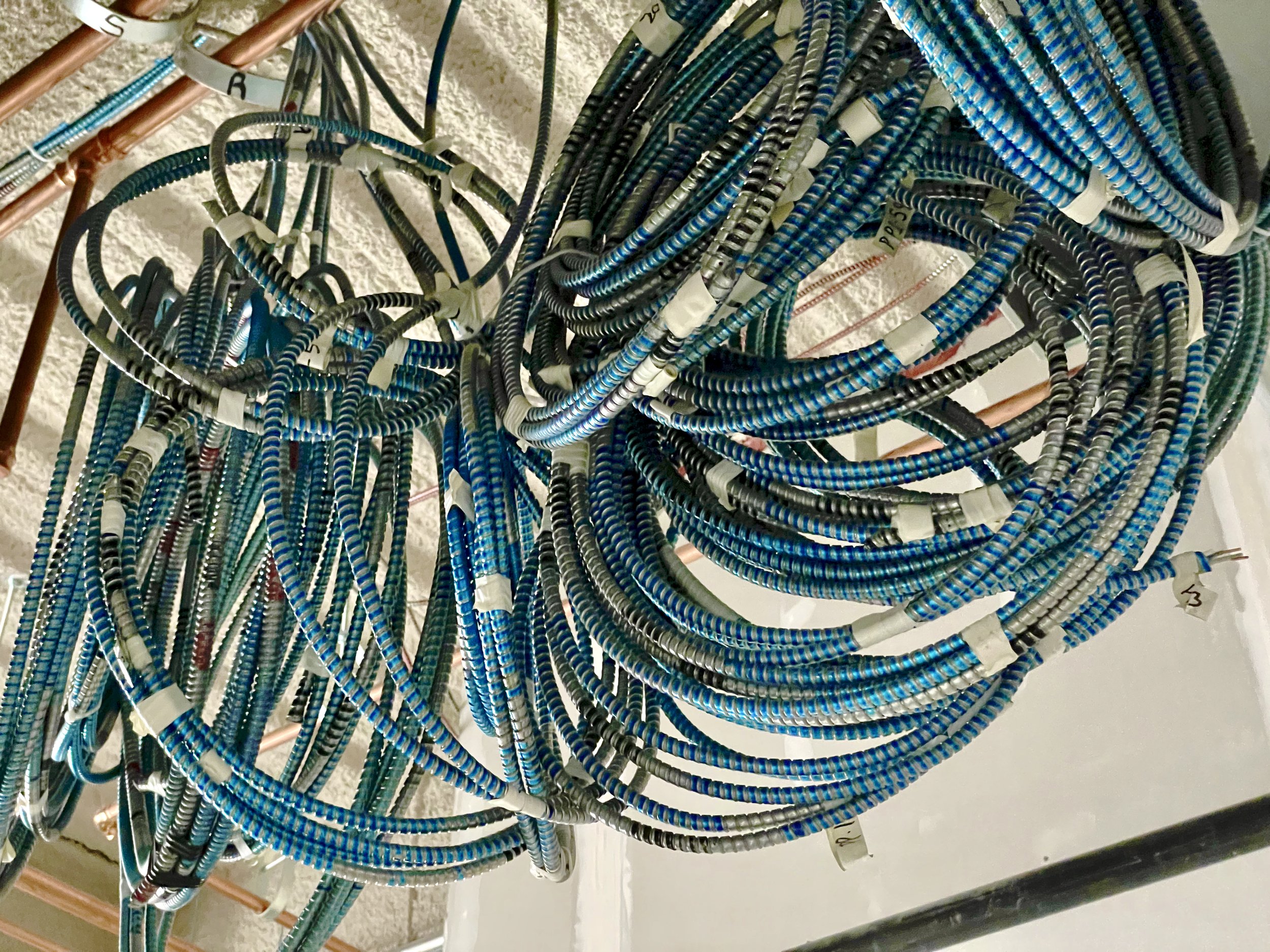 July 3, 2023 - Lotsa MC coiled high