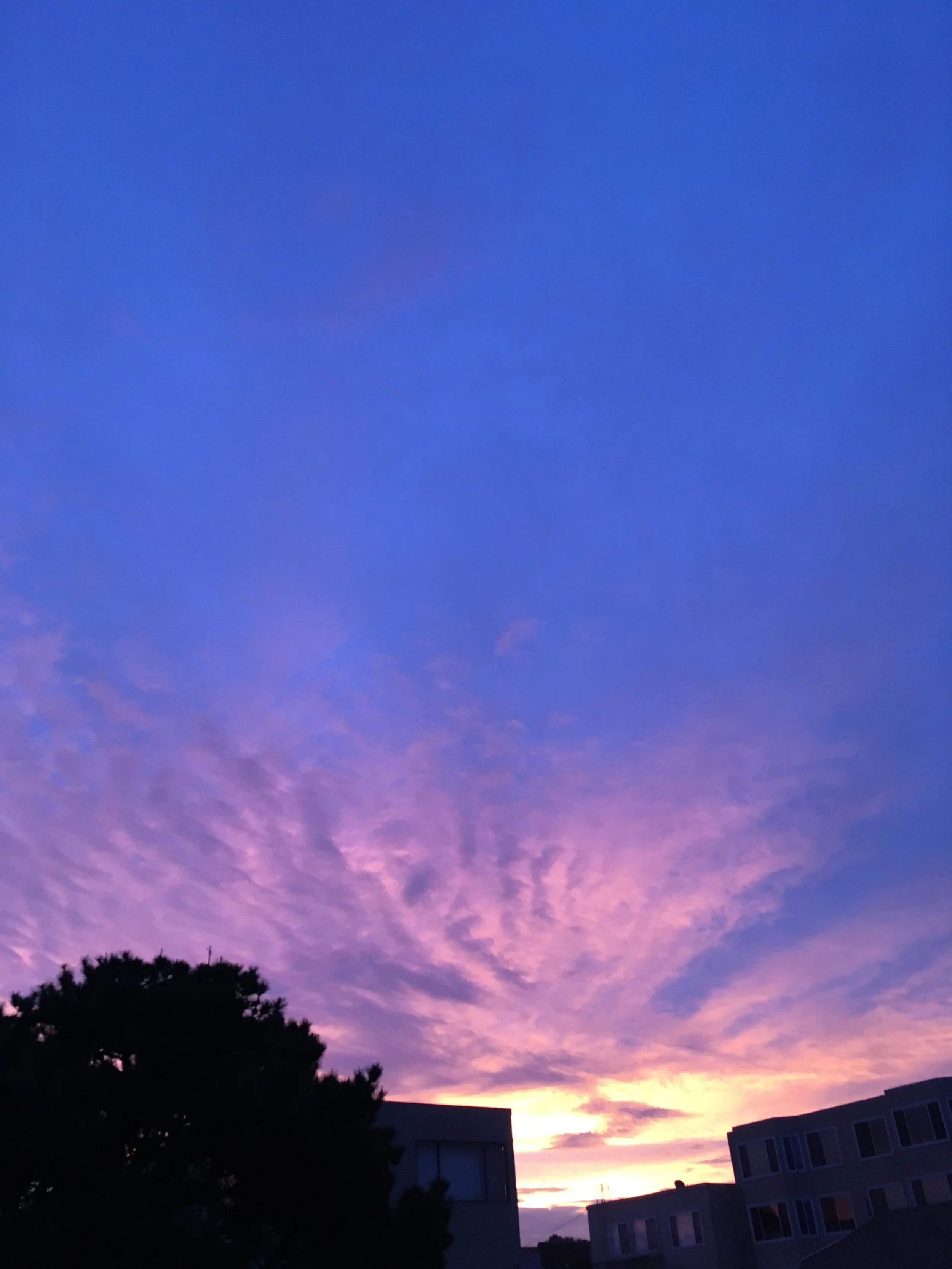 Blue &amp; Gray in the Skies Today