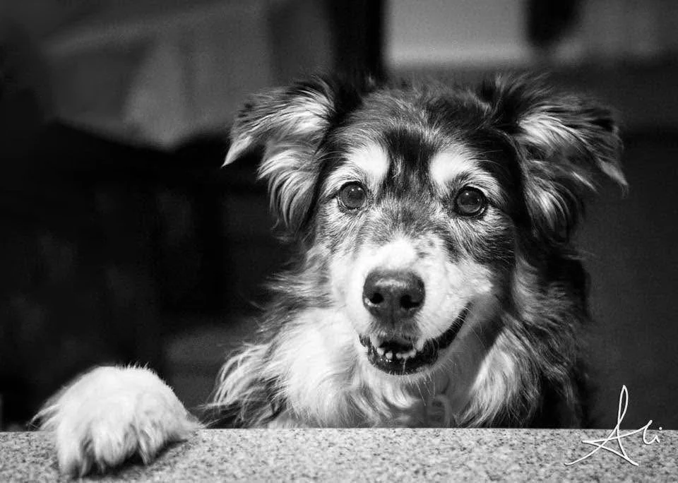 Photo Jan 04 2026, 7 22 37 AM copy.jpg