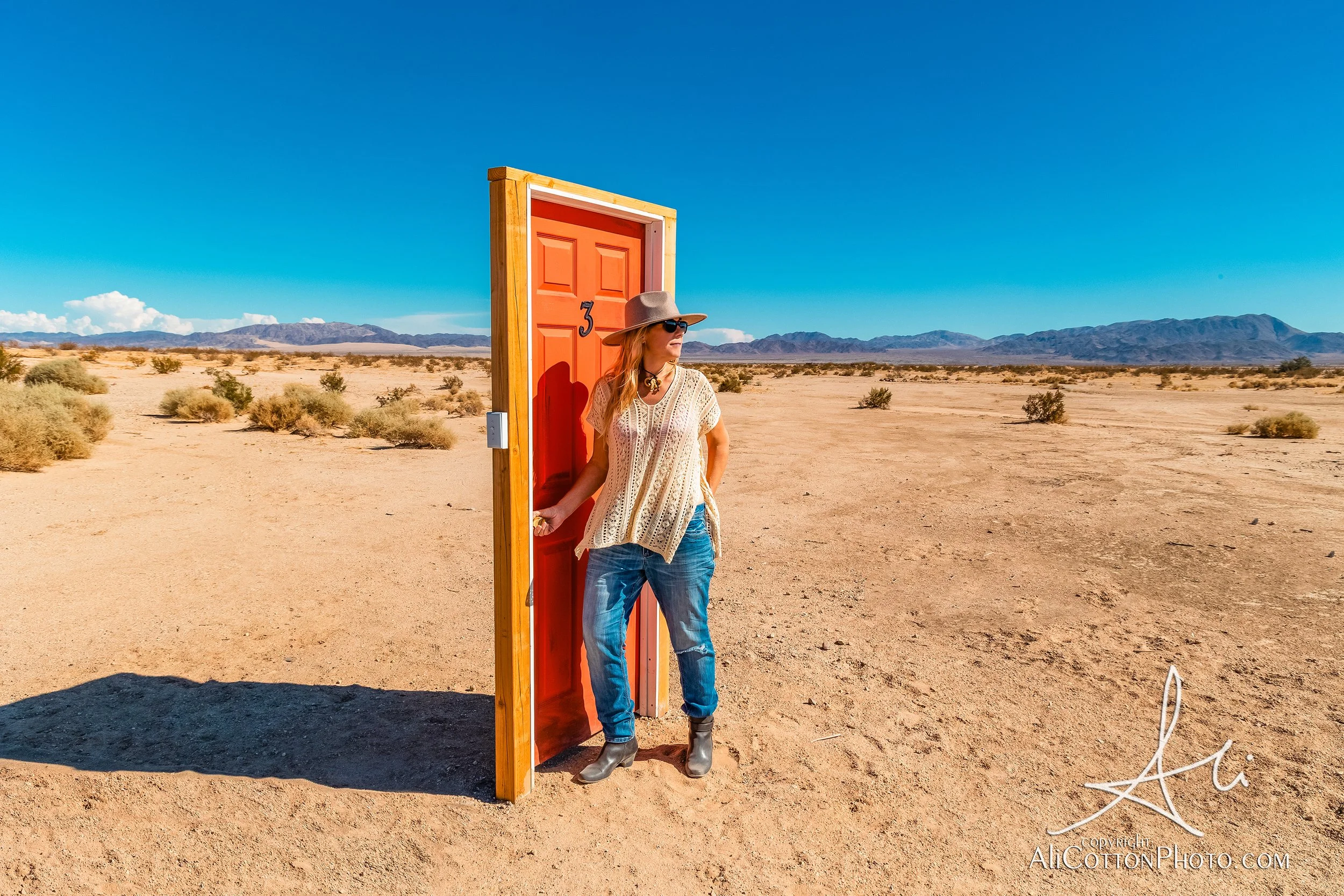 Door into Summer