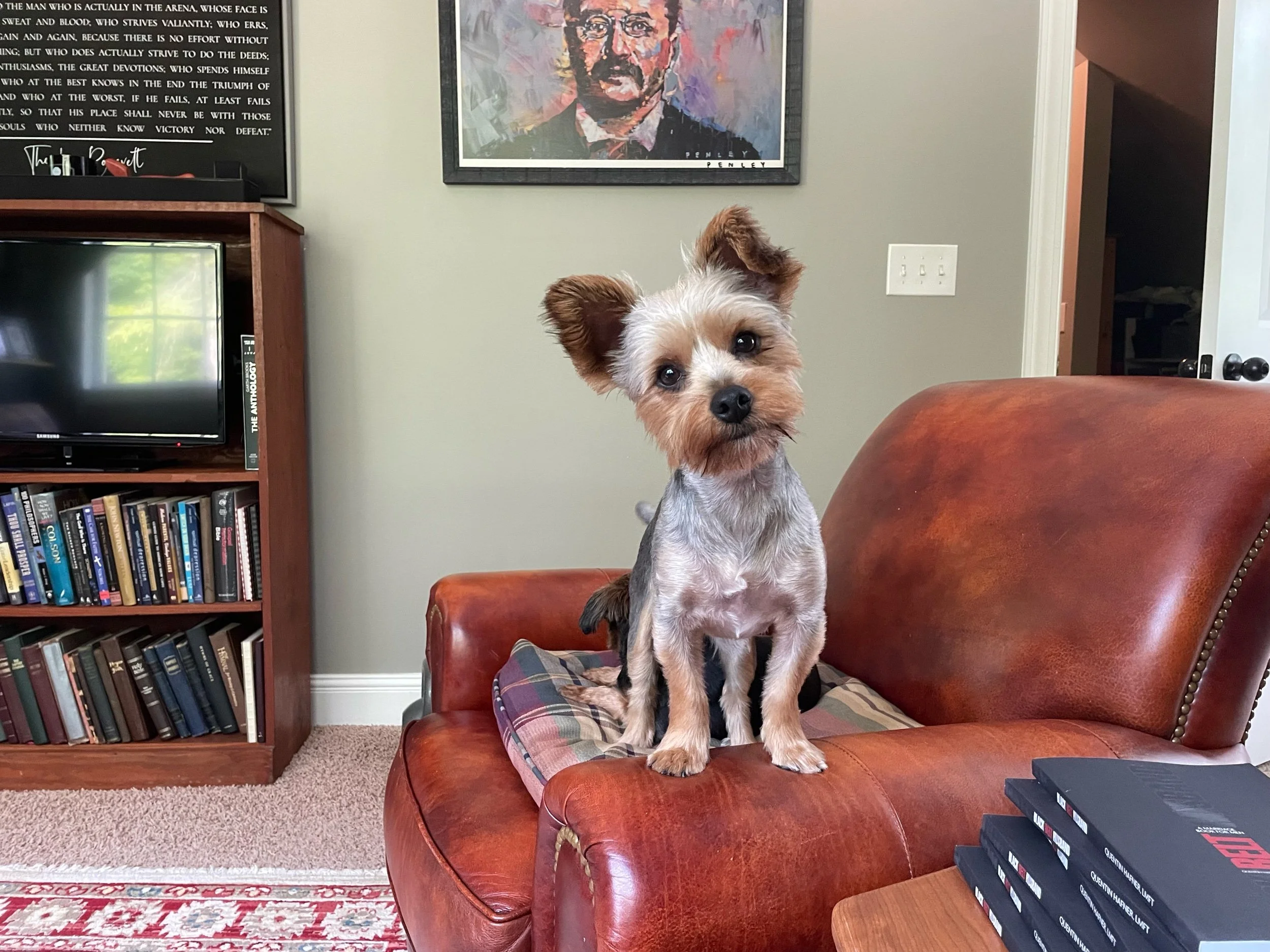 Dignity ISN’T overrated.