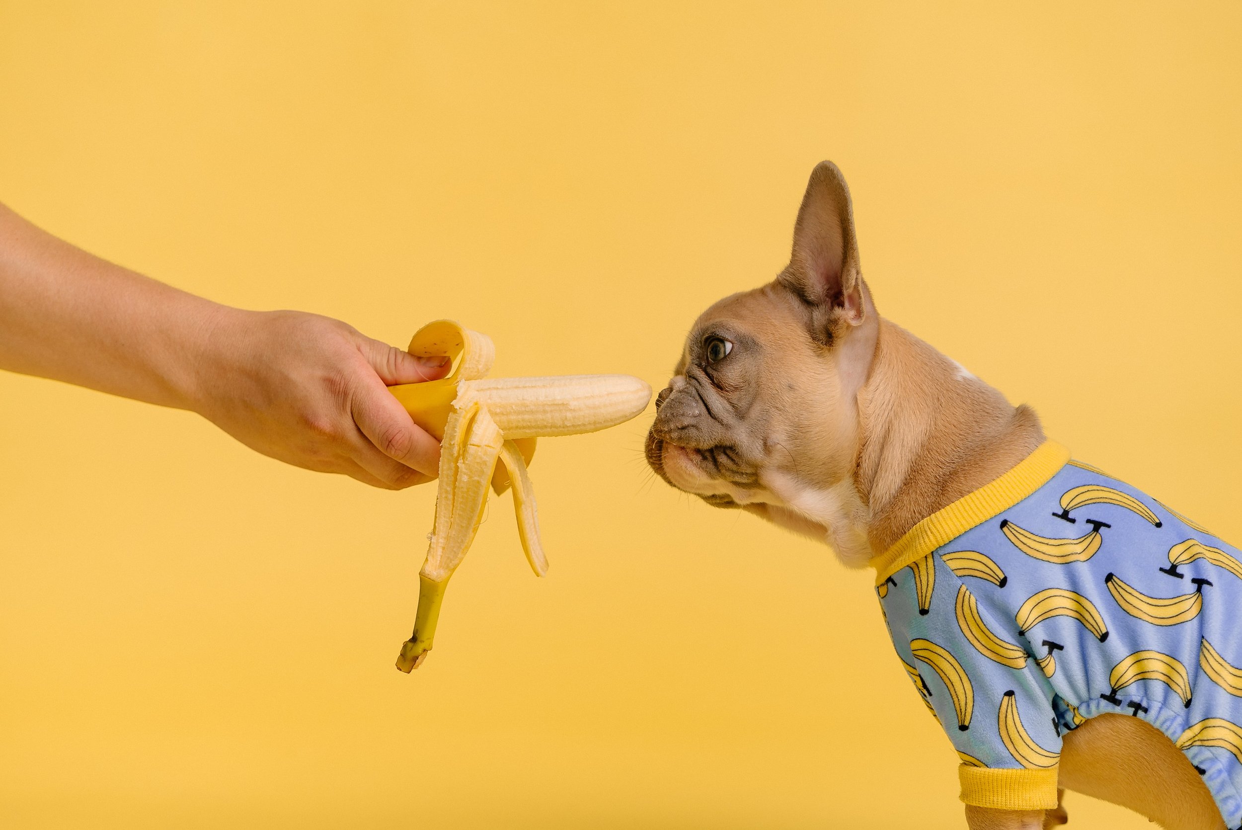 Intuitive eating and self-trust