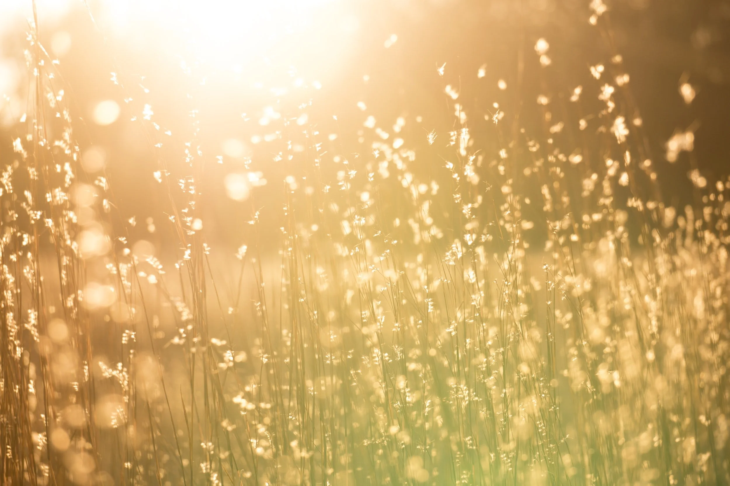 Sunlight in 2022 hasn't changed. It's awesome!