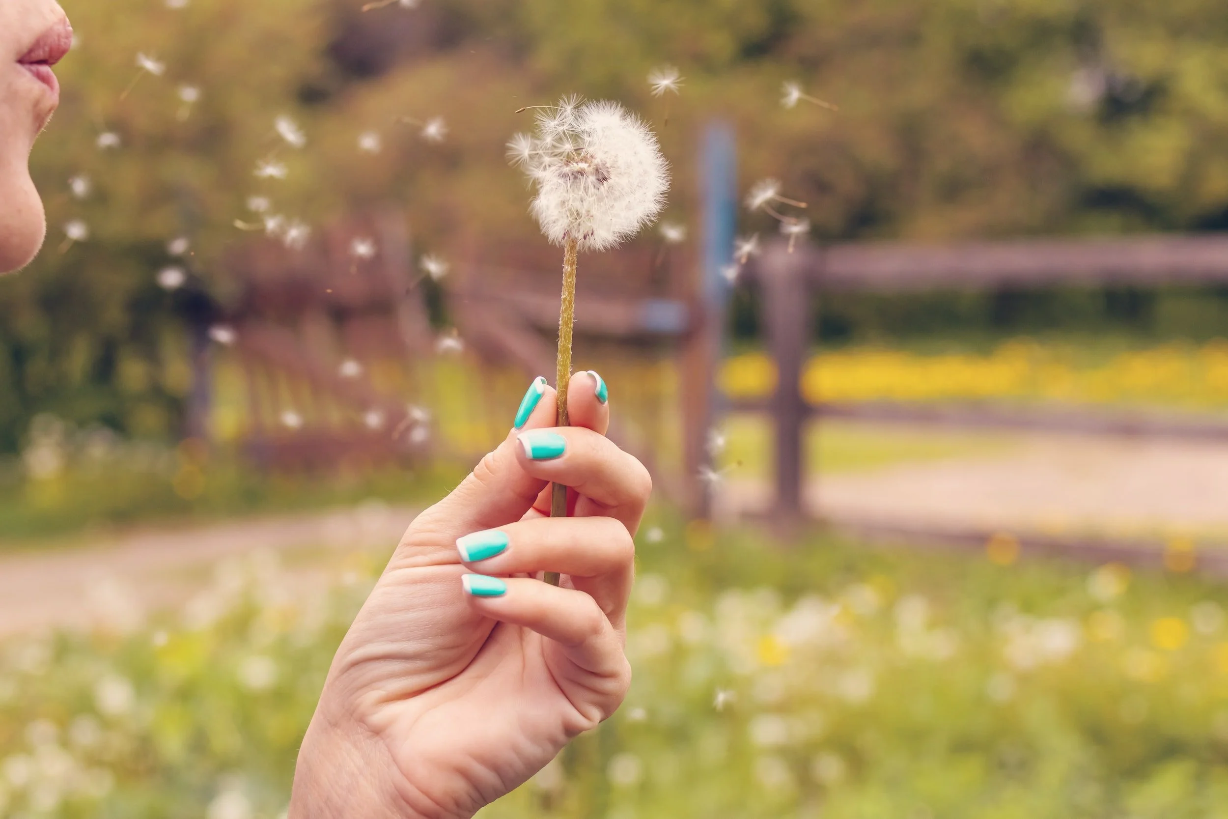 Pollen in the Southeast - how do you avoid it?