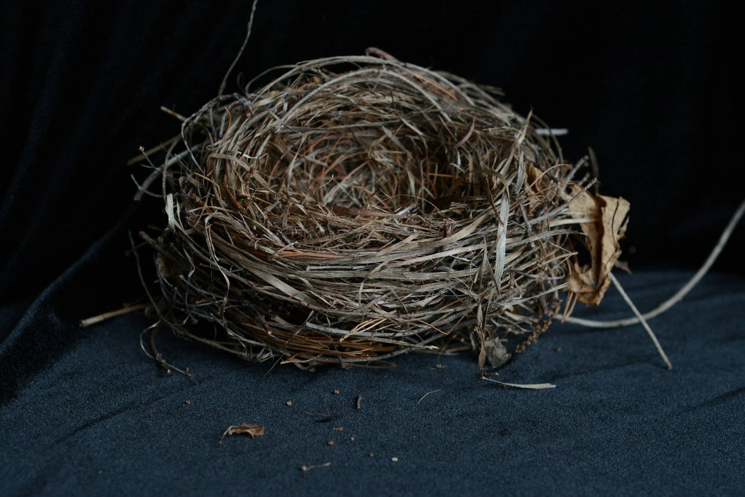 Smart Thermostat Showdown: Comparing the Top Brands