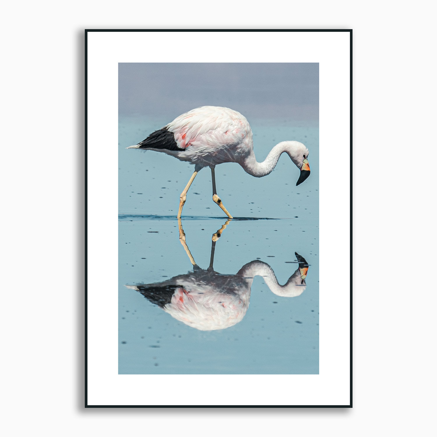 Framed perfect Flamingo reflection print