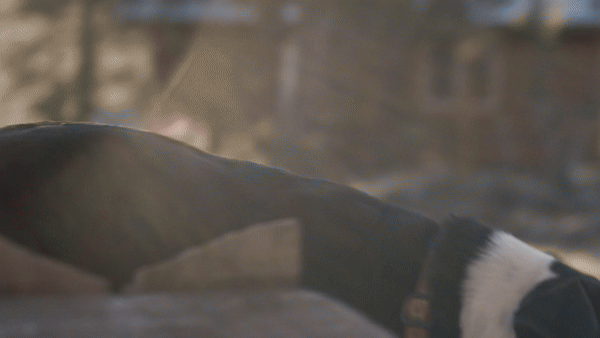 Laura's Story 01.gif