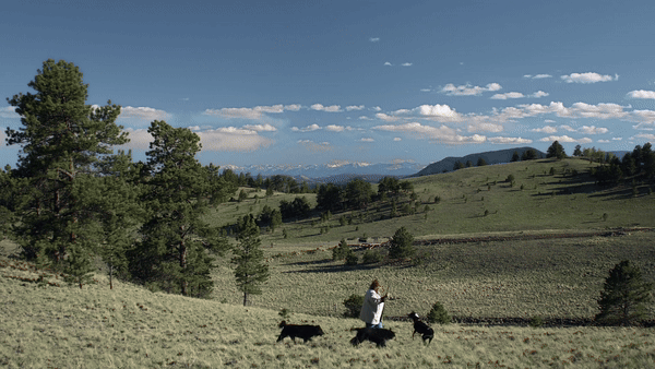 Laura's Story 02.gif