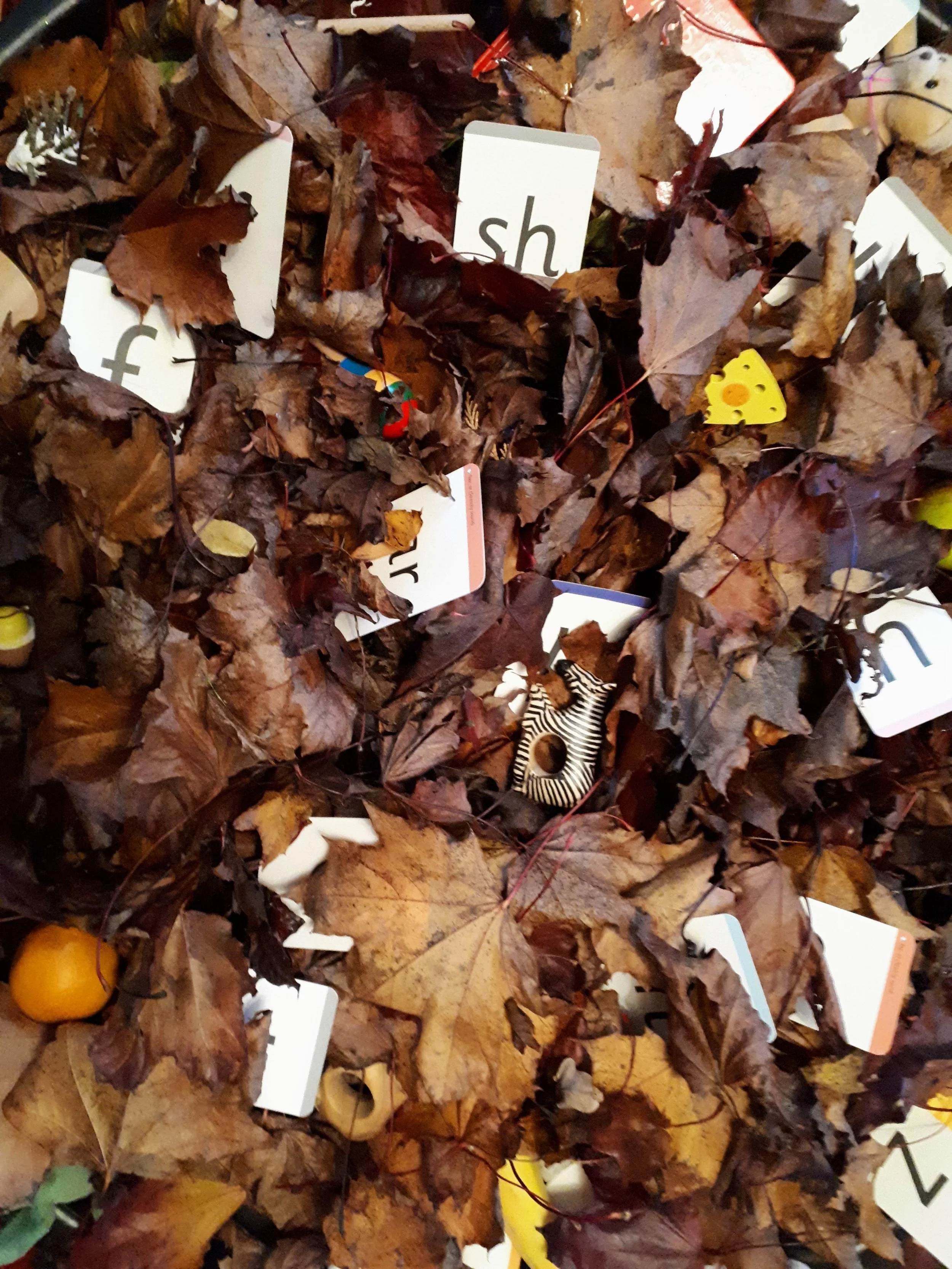 Autumn Leaf Phonics Matching Pairs