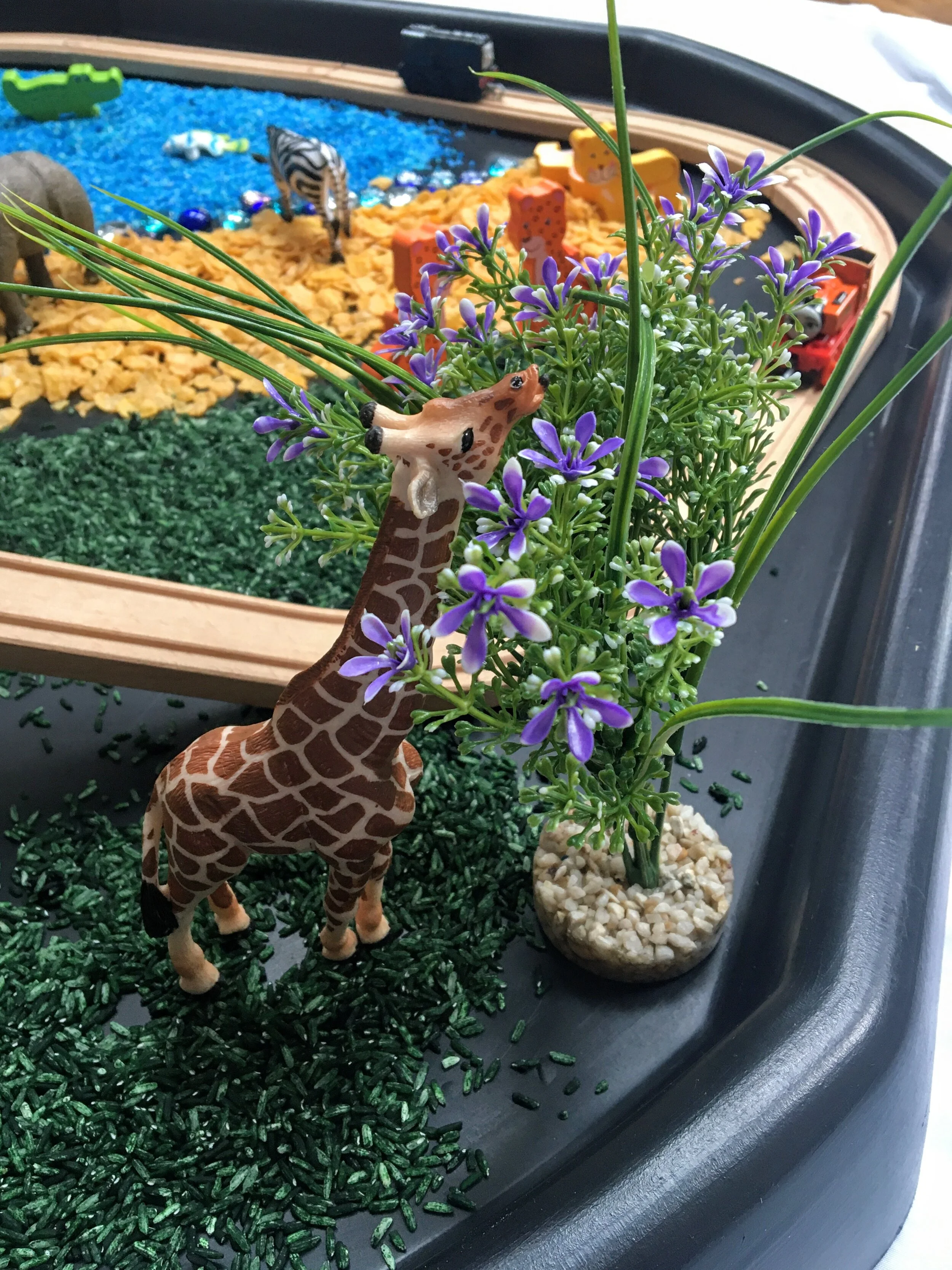 Thomas the Tank Engine on Safari