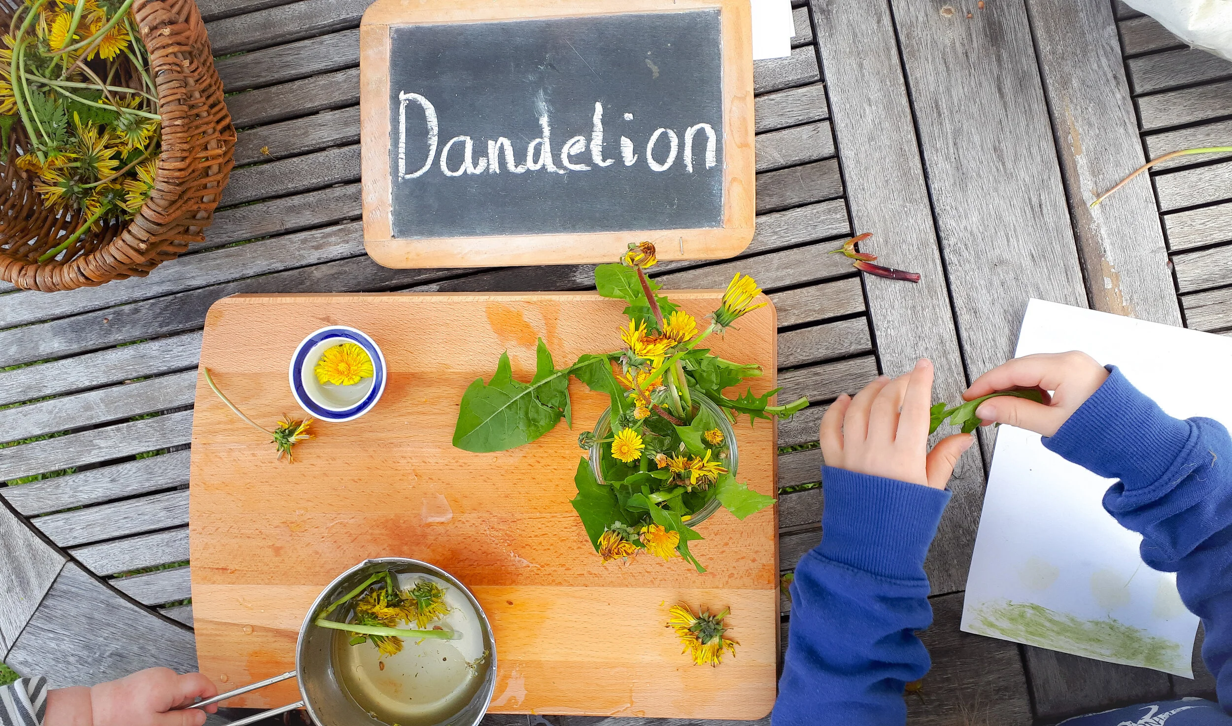 Exploring Nature Kids Activity Idea