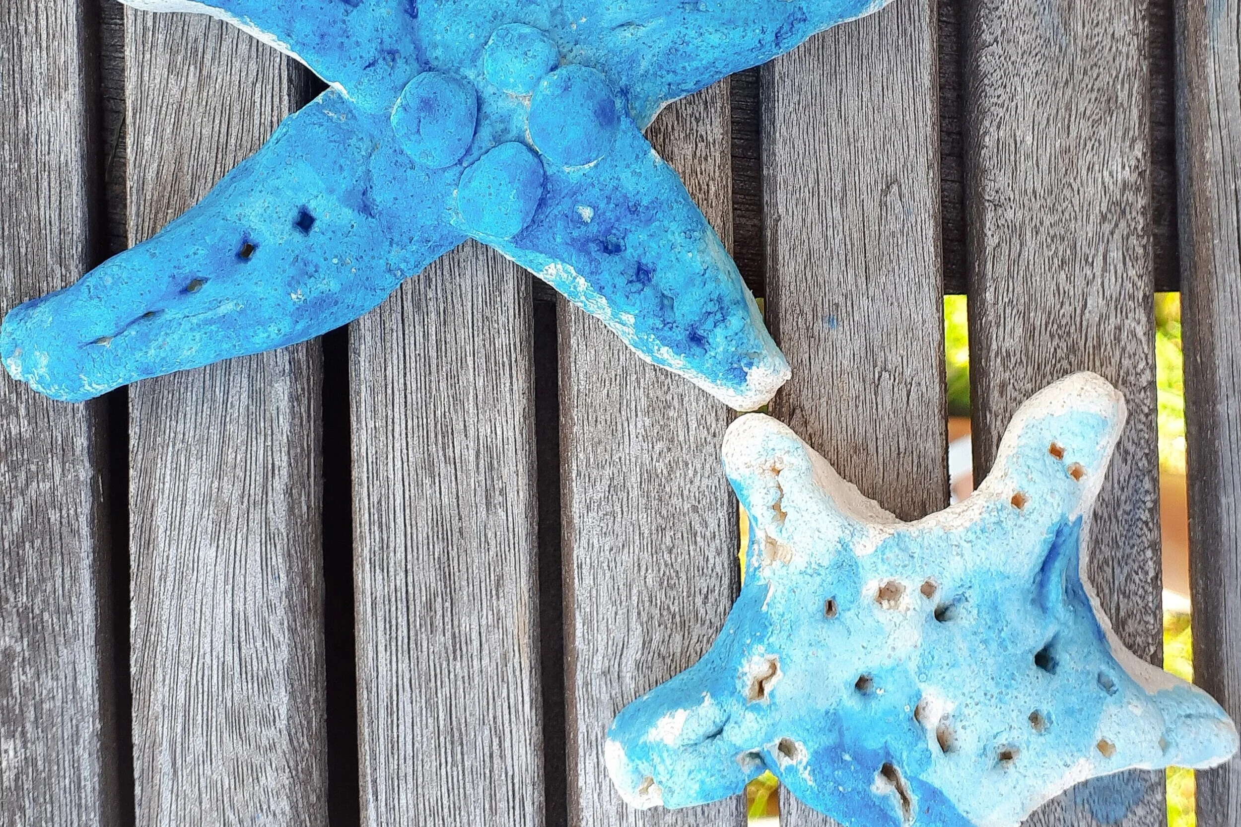 Painting Starfish — Little Hands Learning