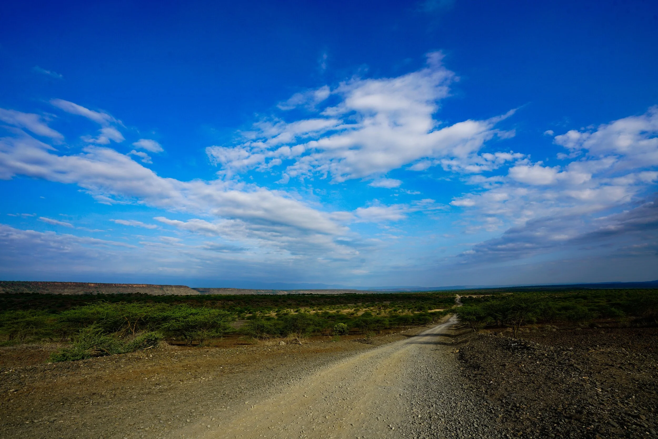 DSC01116.jpg